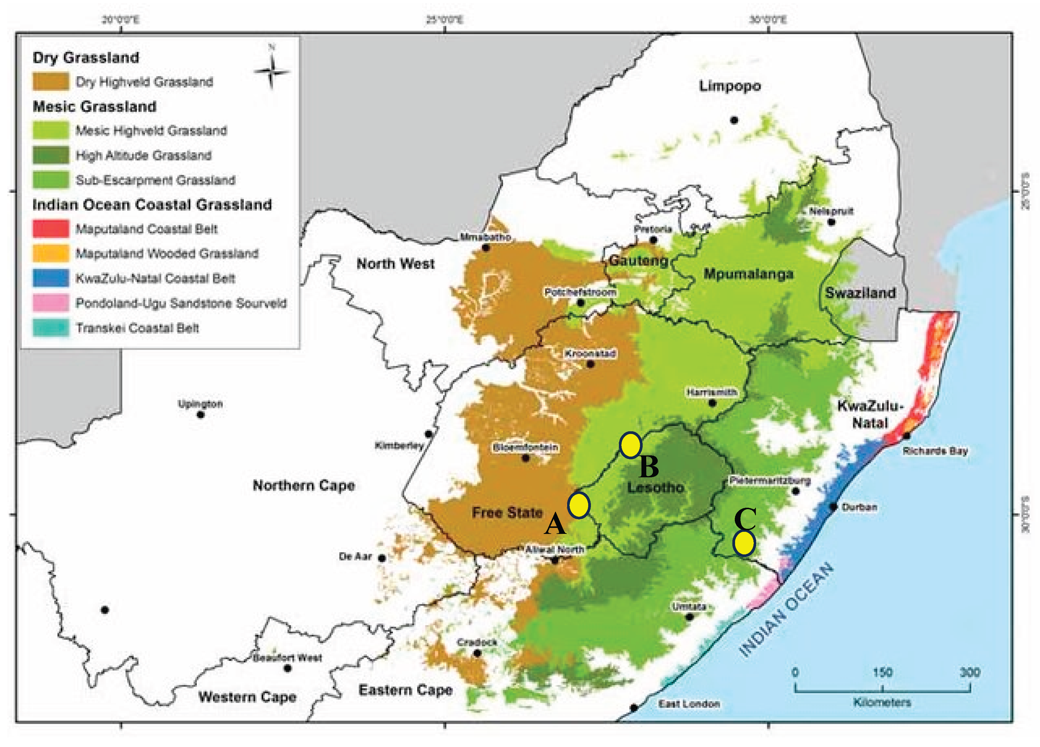 Preprints 181648 g001