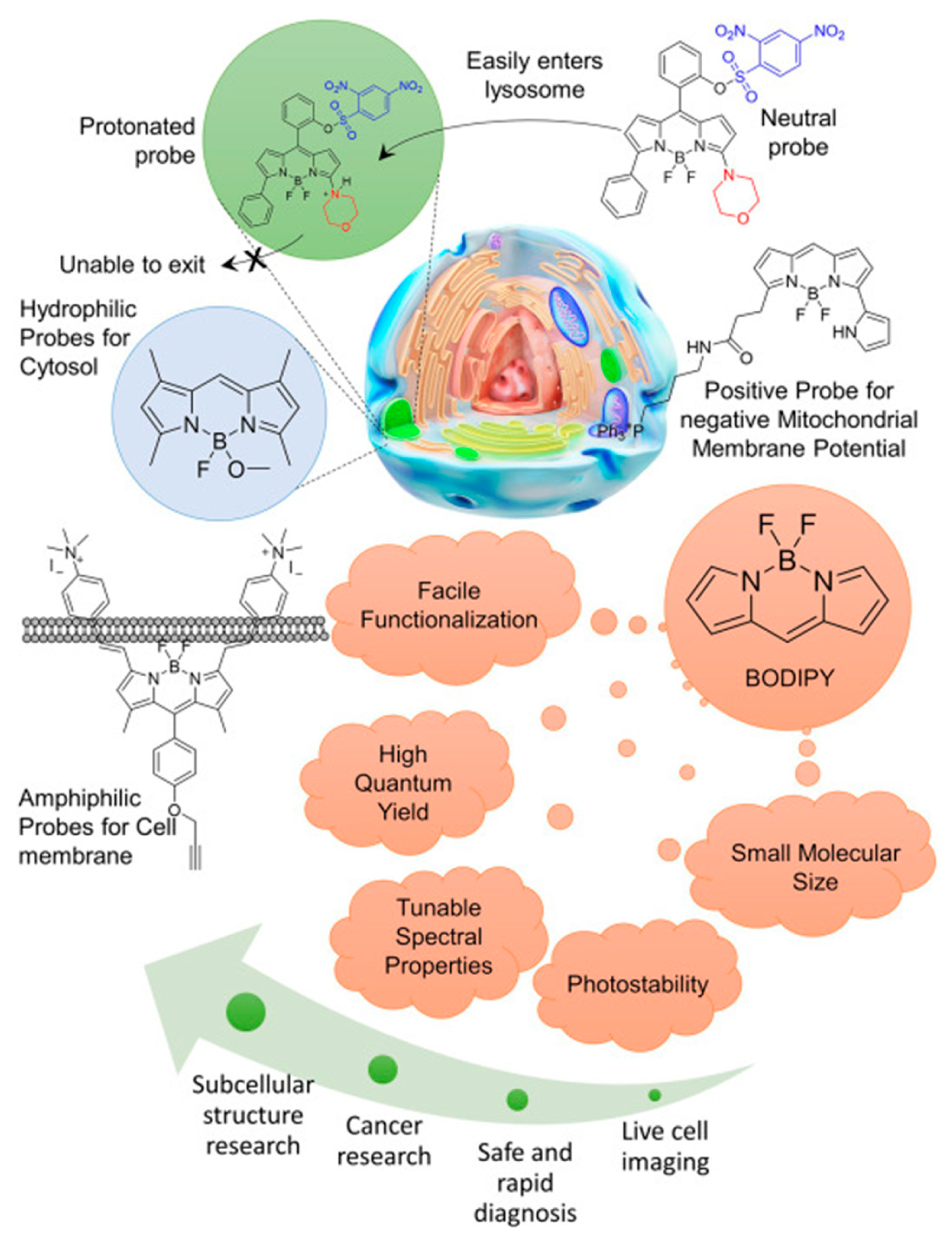 Preprints 147100 g002