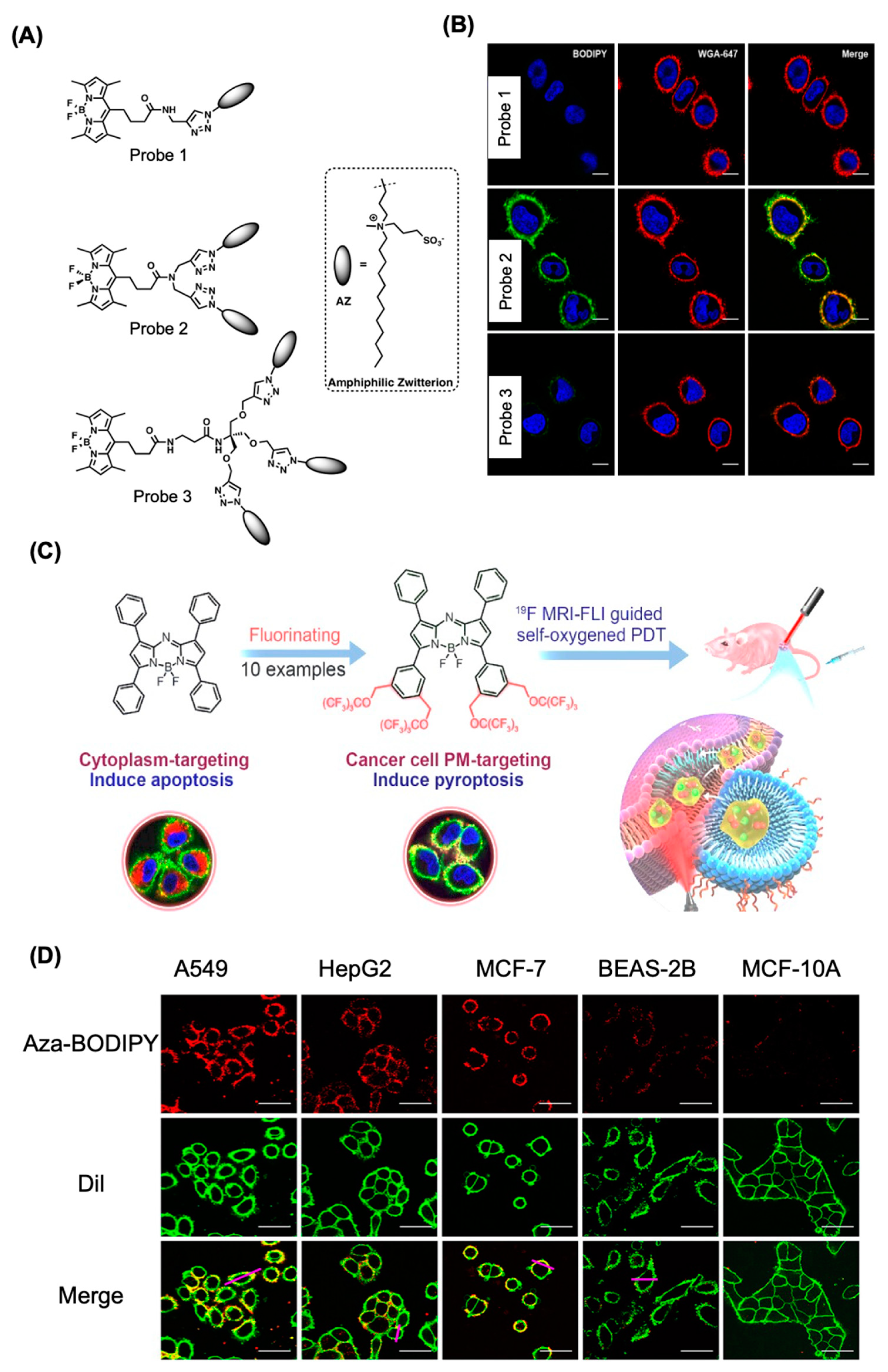 Preprints 147100 g003