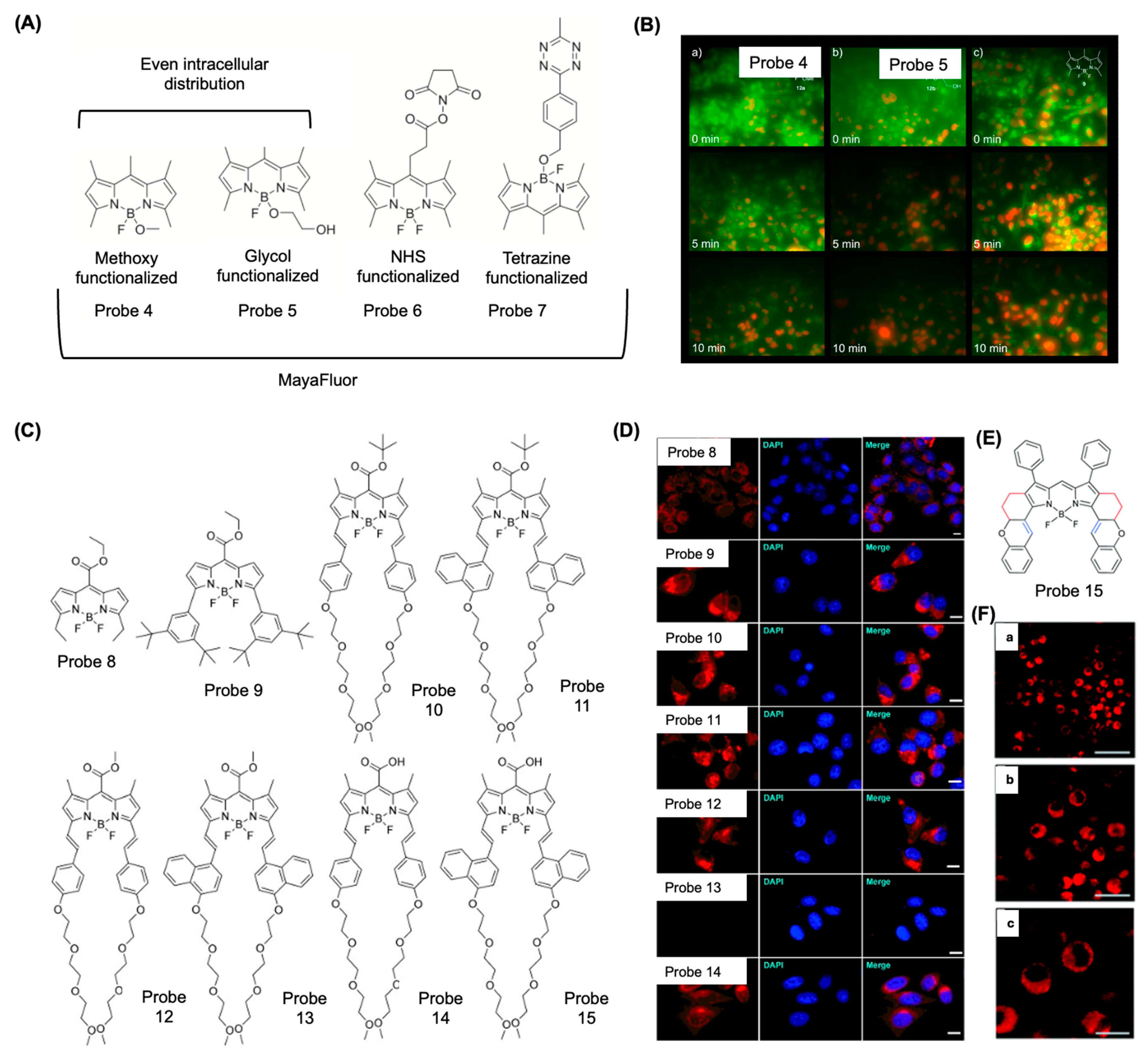 Preprints 147100 g004