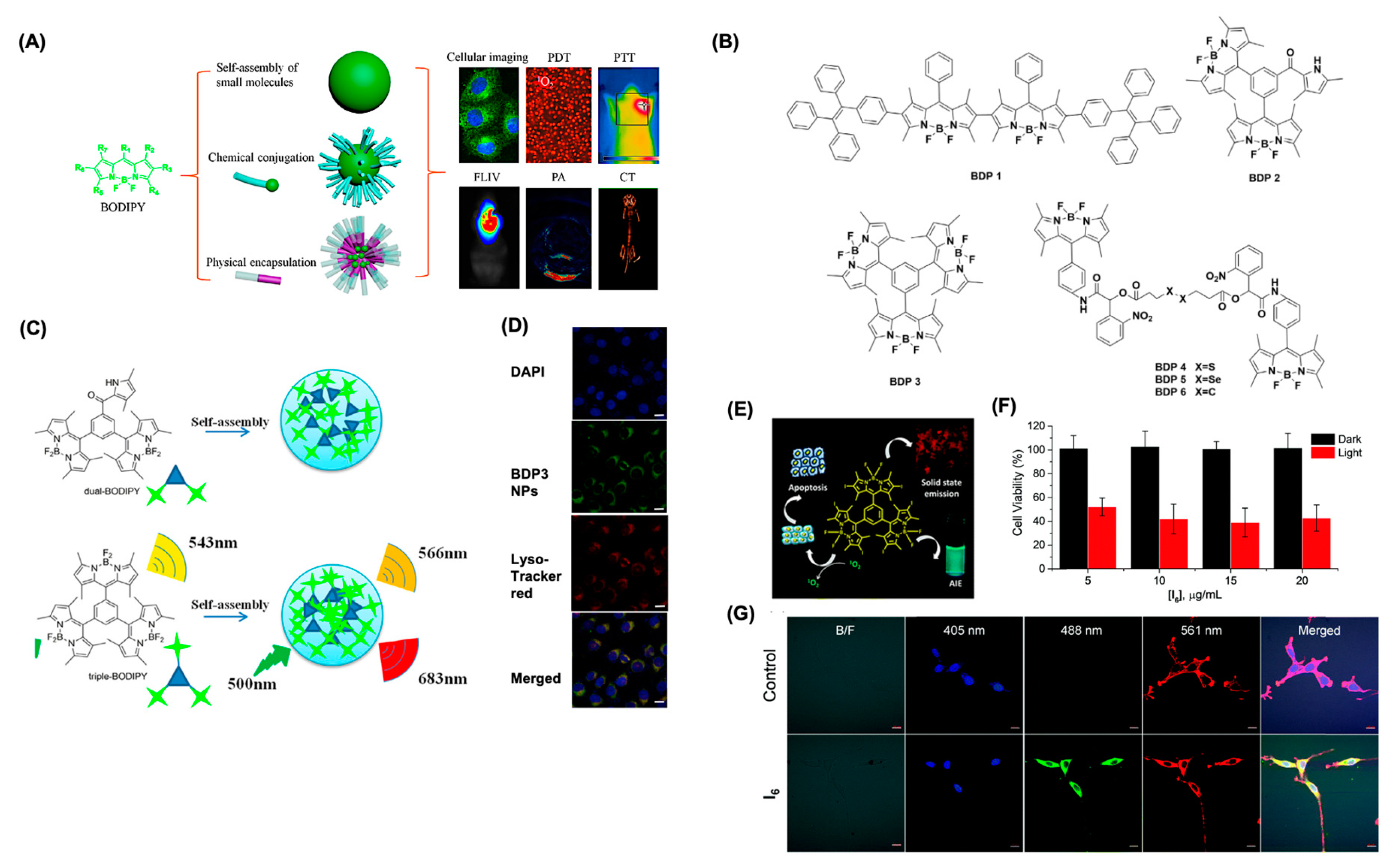 Preprints 147100 g011