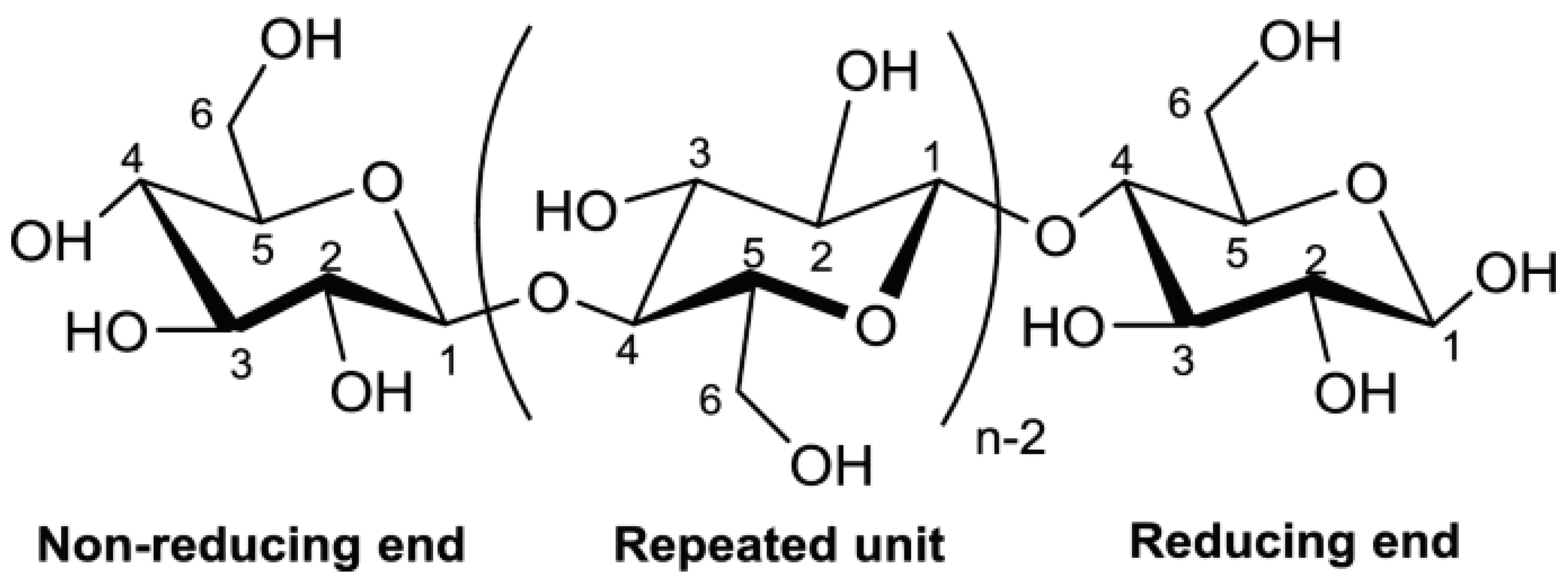 Preprints 99930 g001