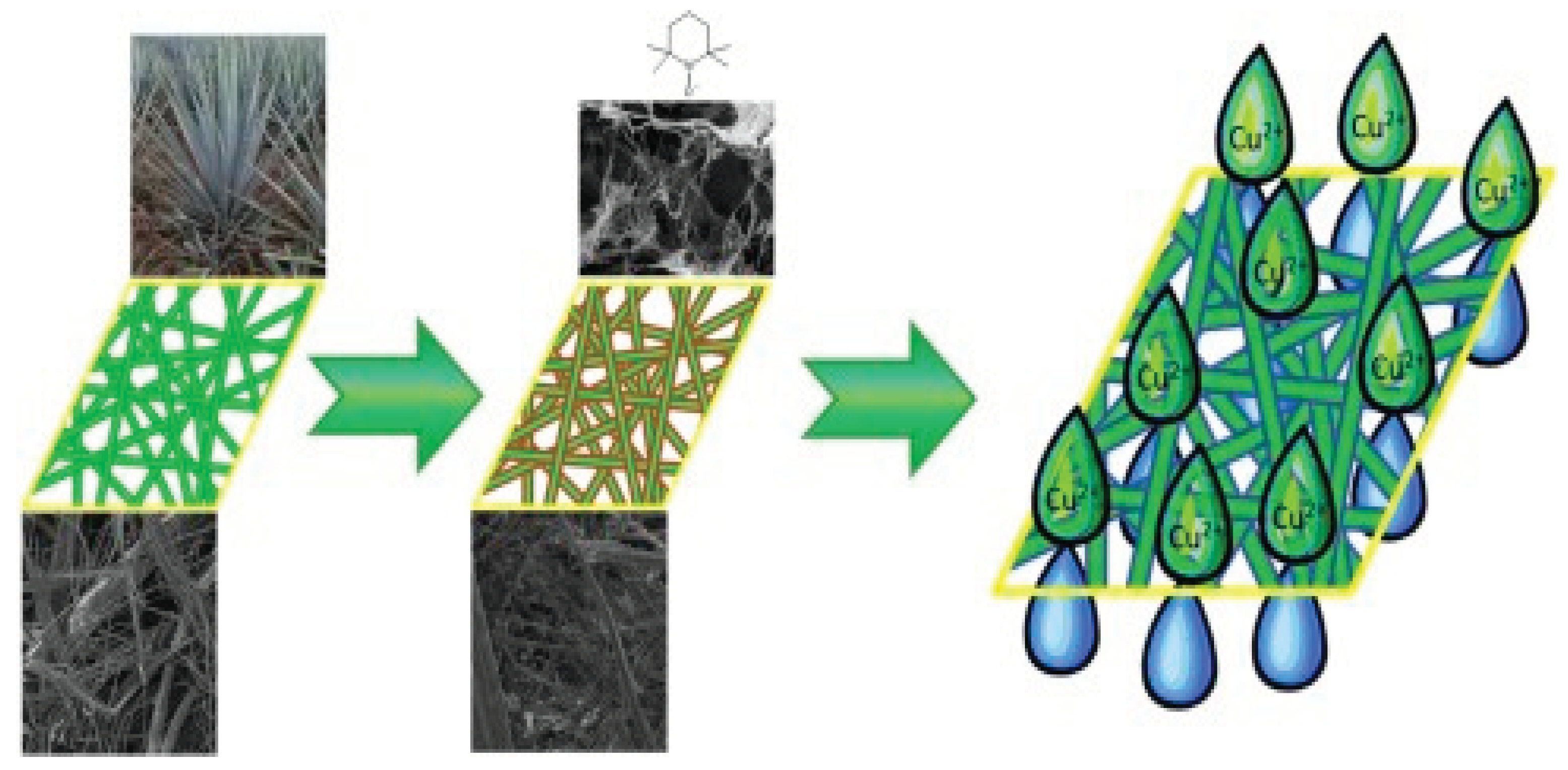 Preprints 99930 g002