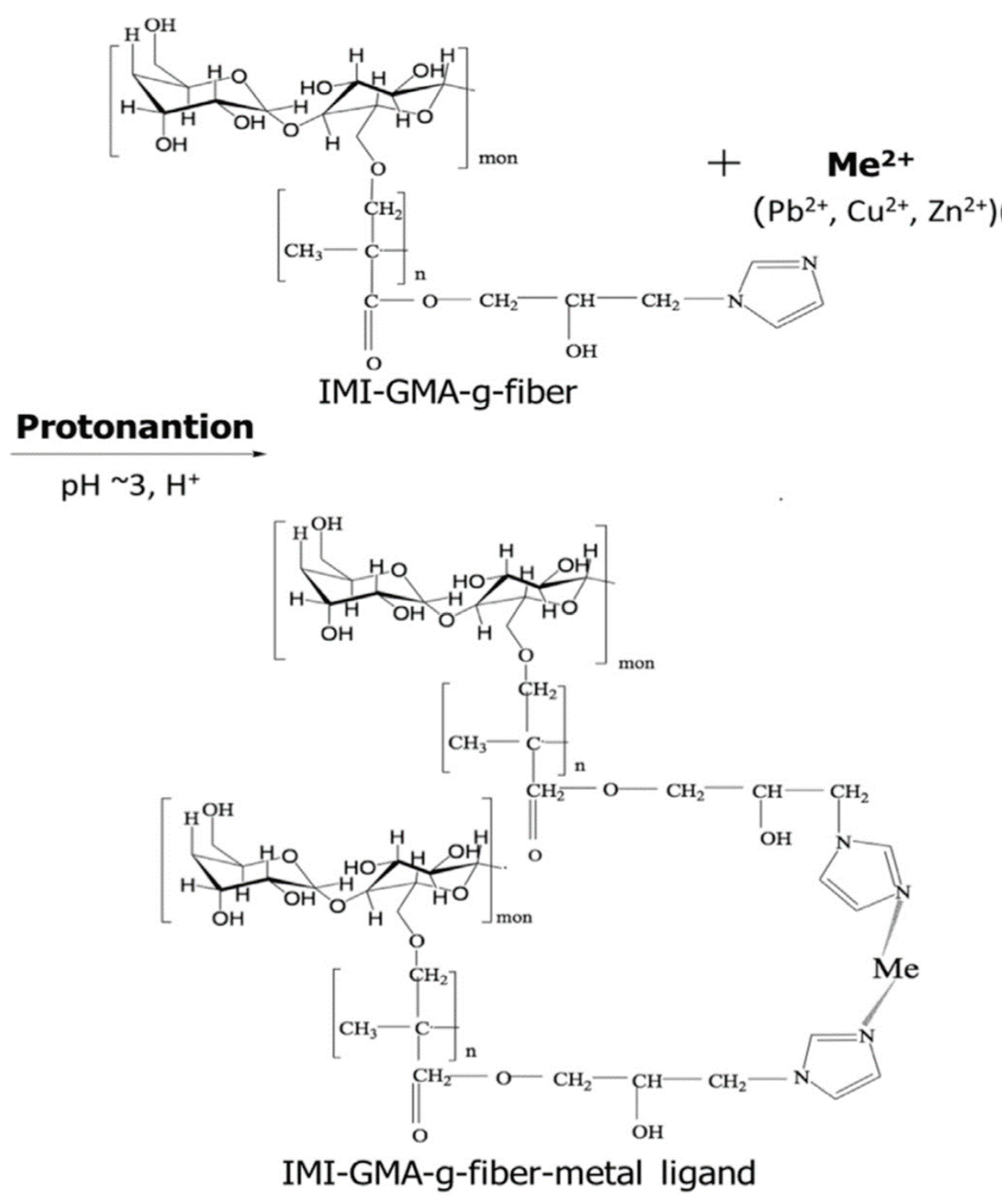 Preprints 99930 g003