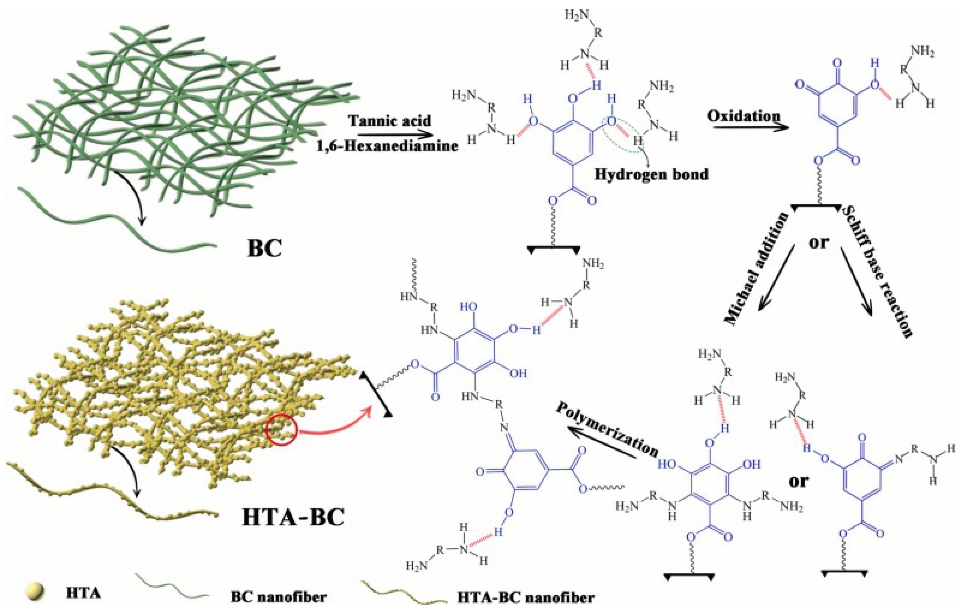 Preprints 99930 g005