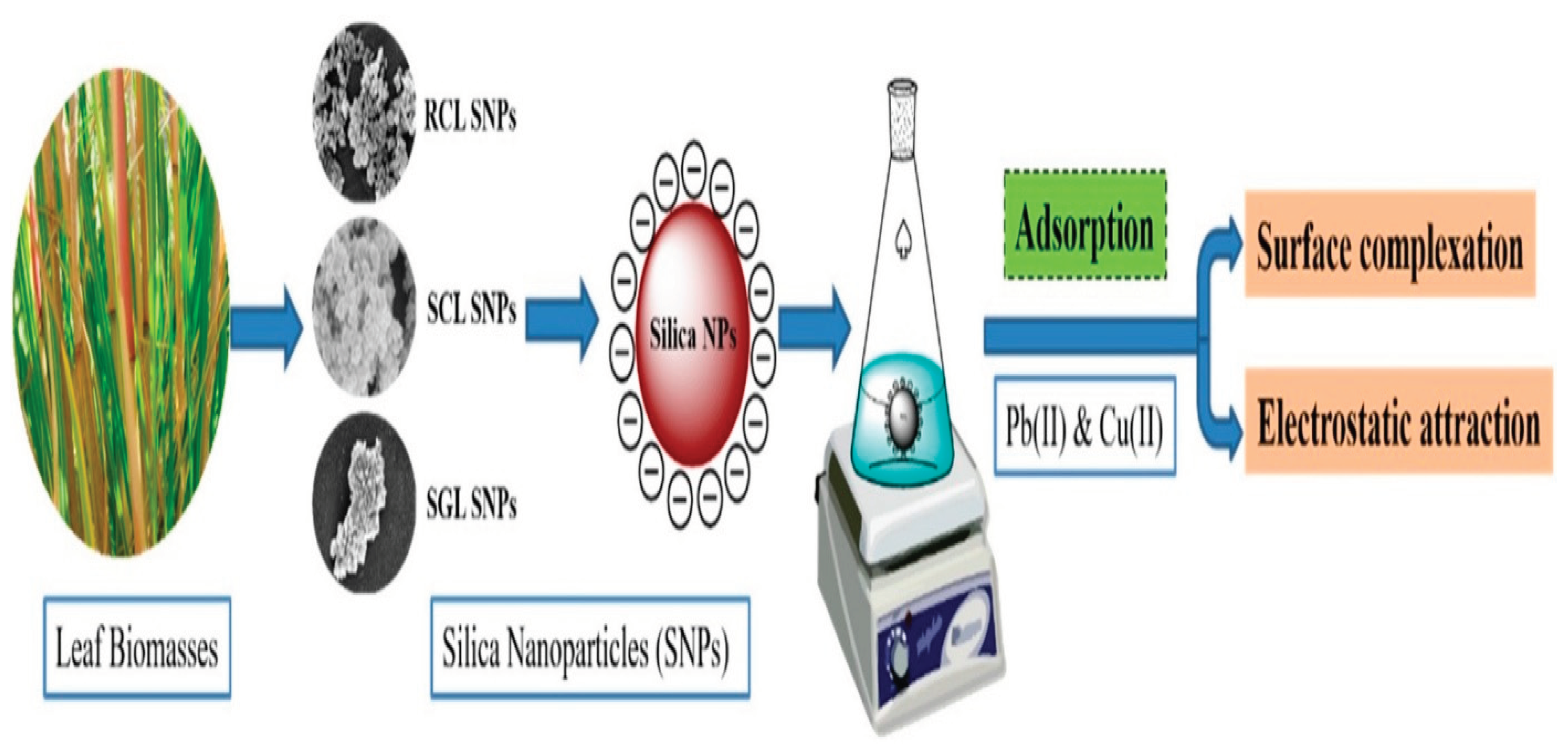 Preprints 99930 g008