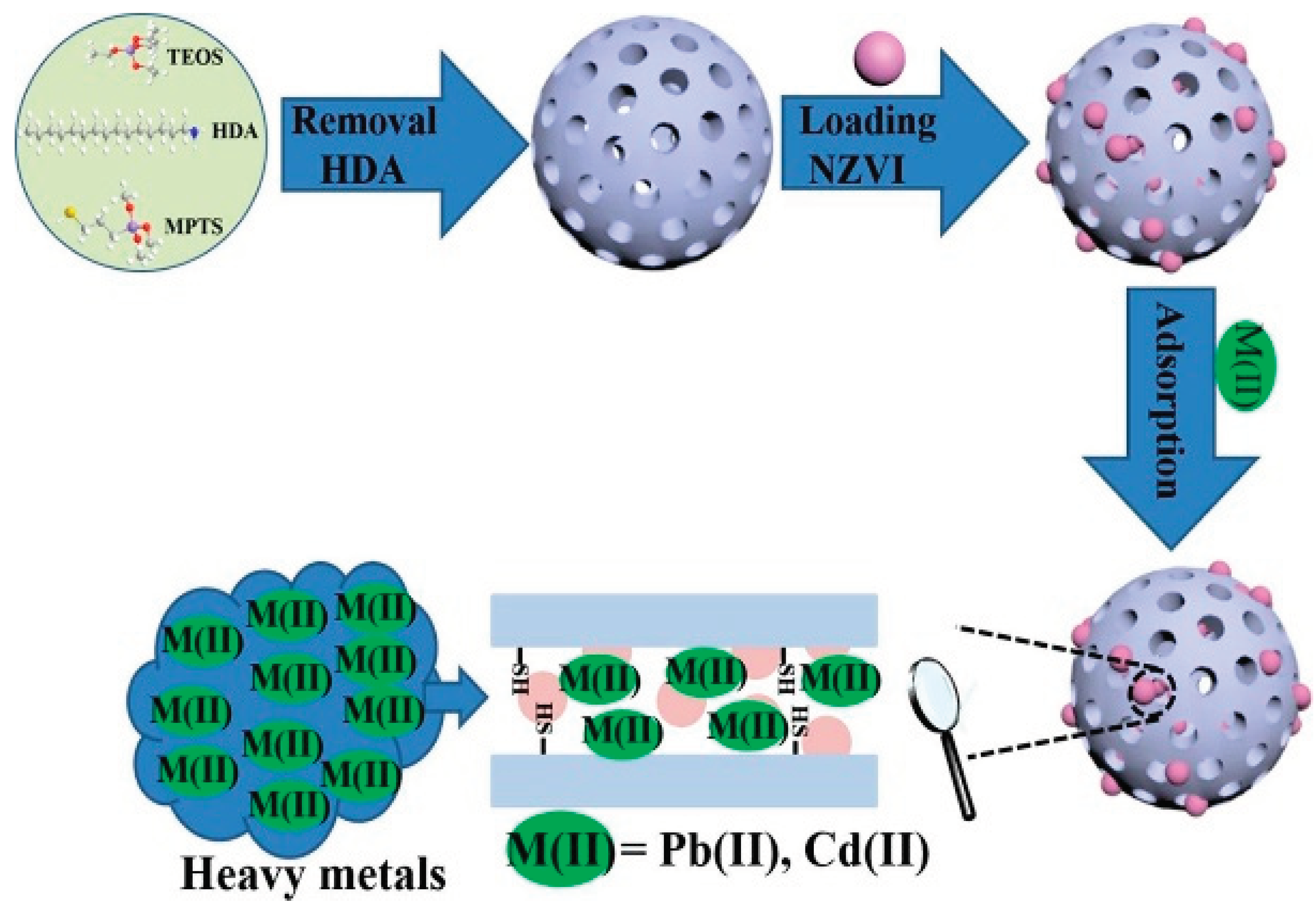 Preprints 99930 g010