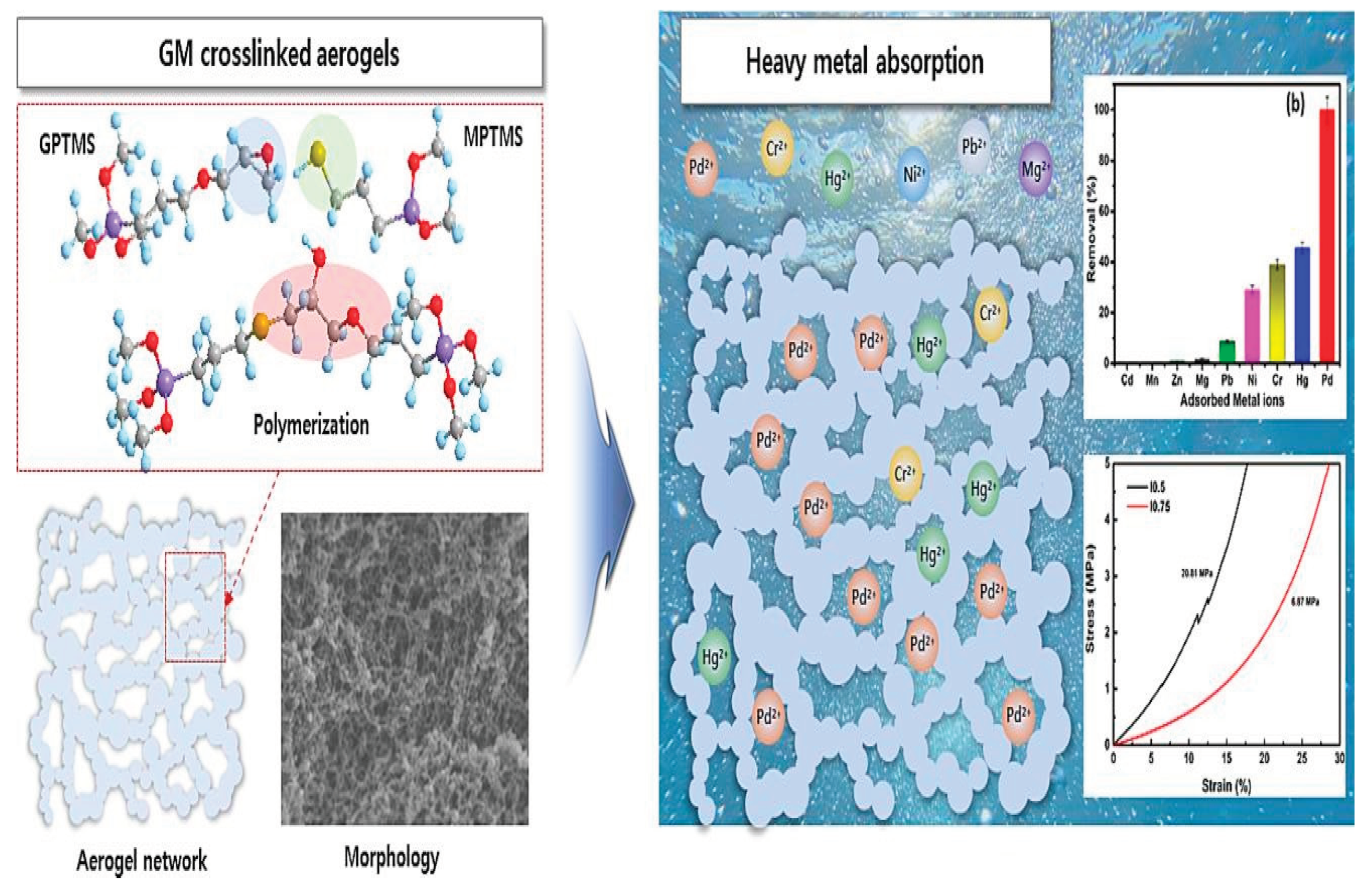 Preprints 99930 g011
