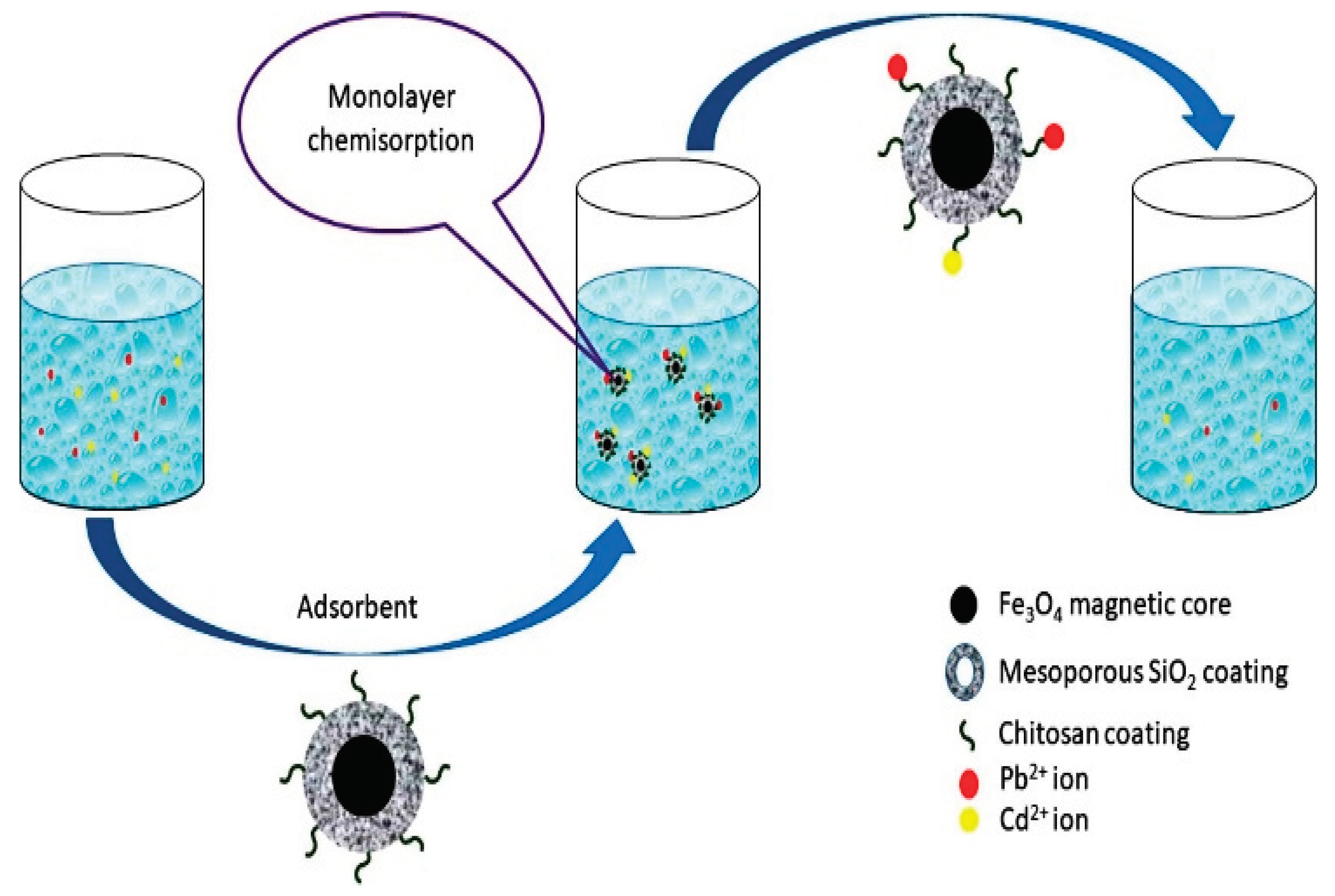 Preprints 99930 g012