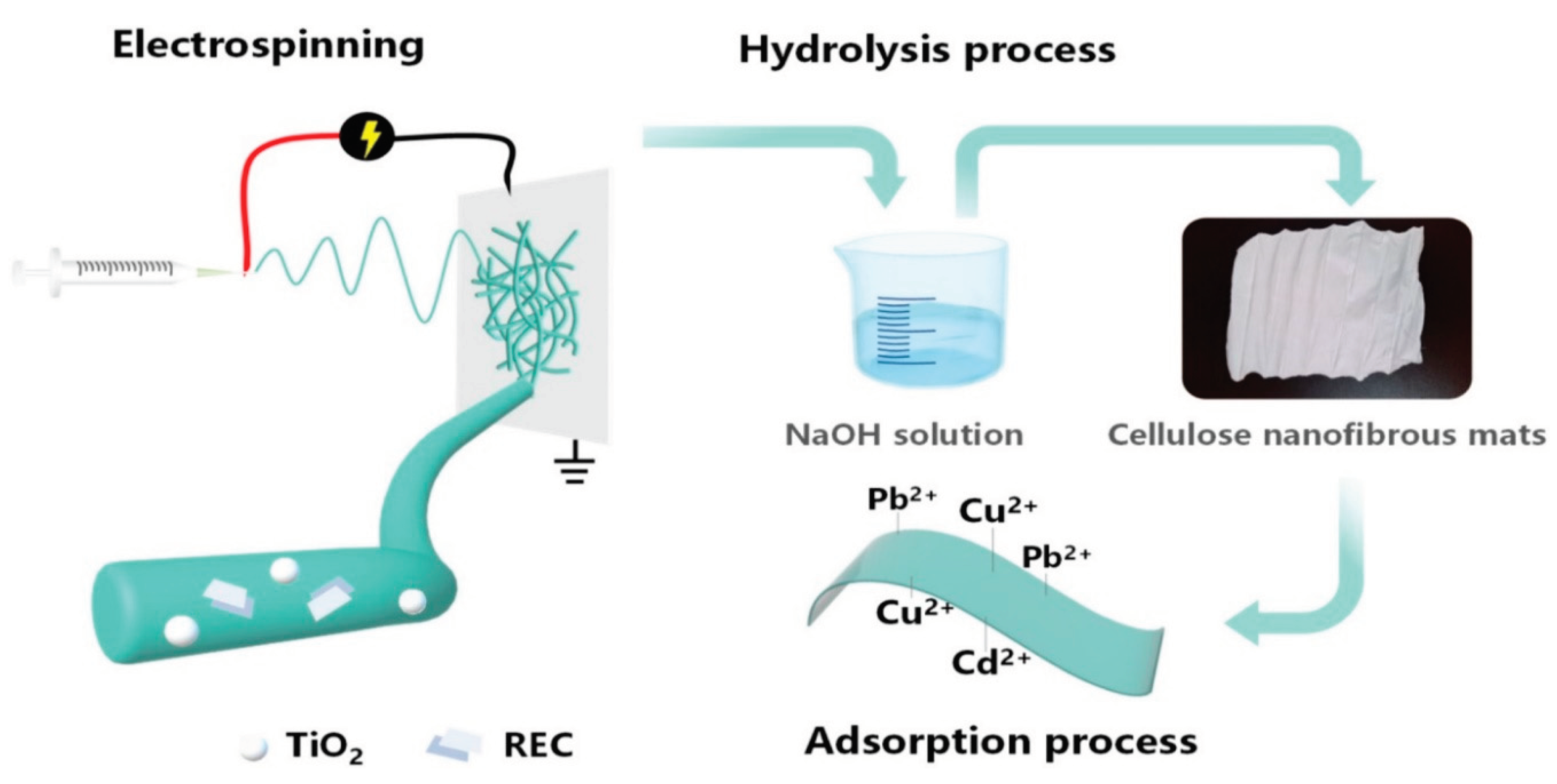 Preprints 99930 g015