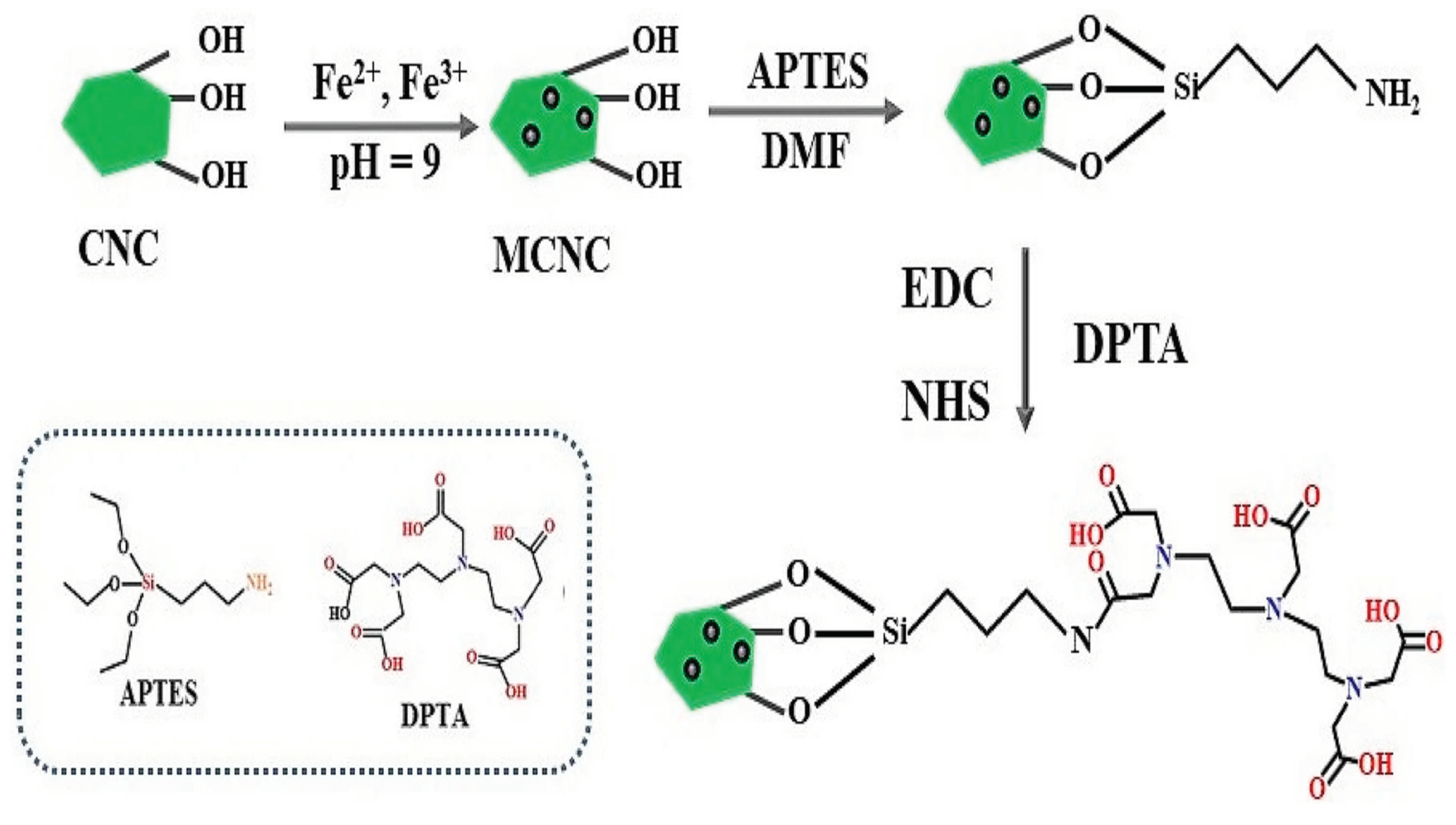 Preprints 99930 g017