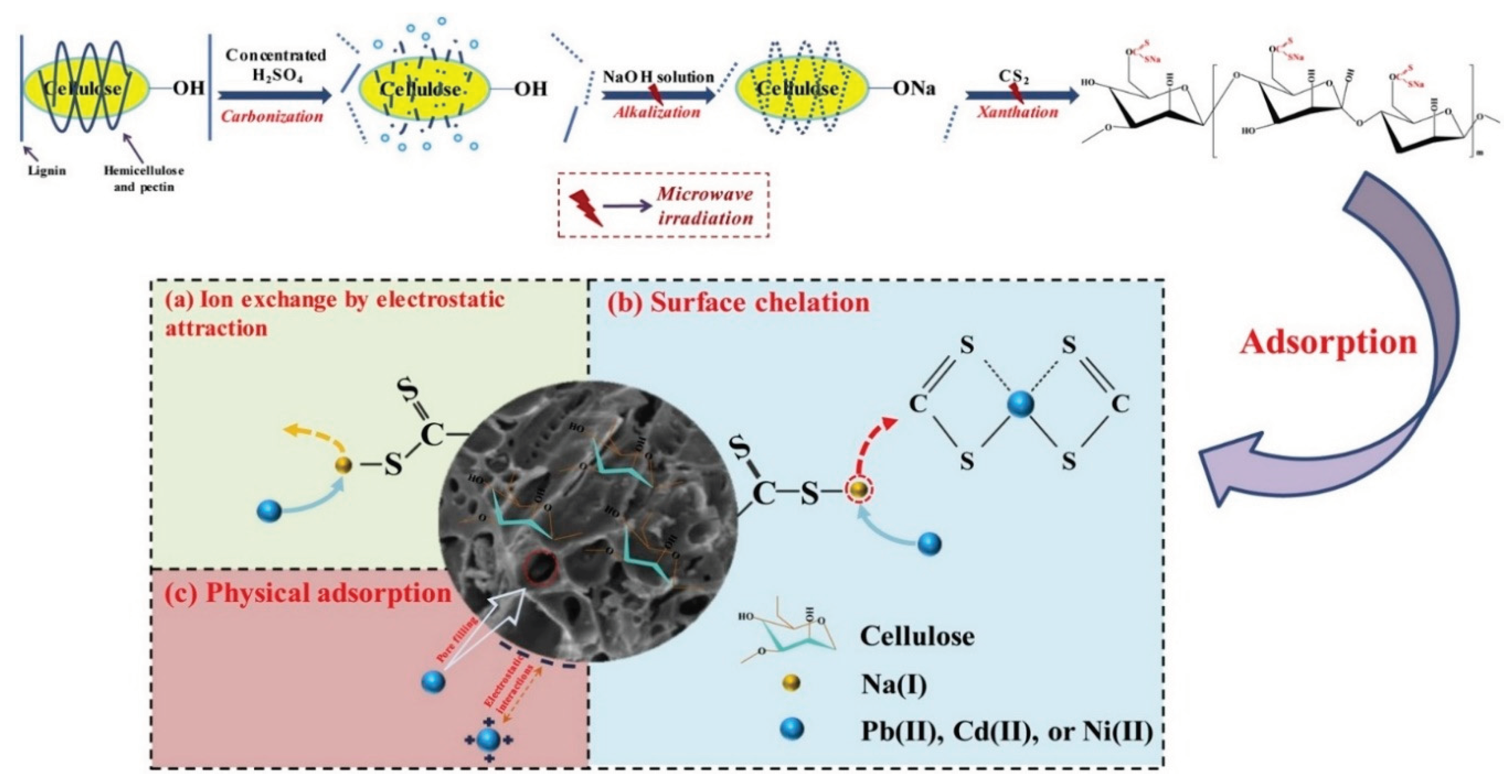 Preprints 99930 g020