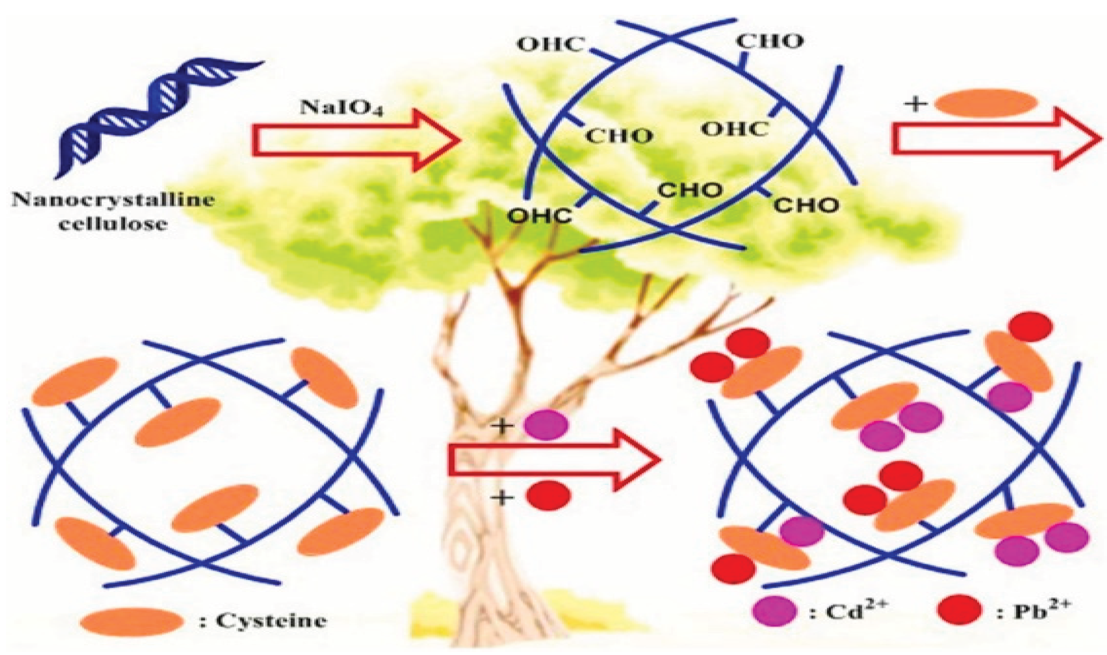 Preprints 99930 g022