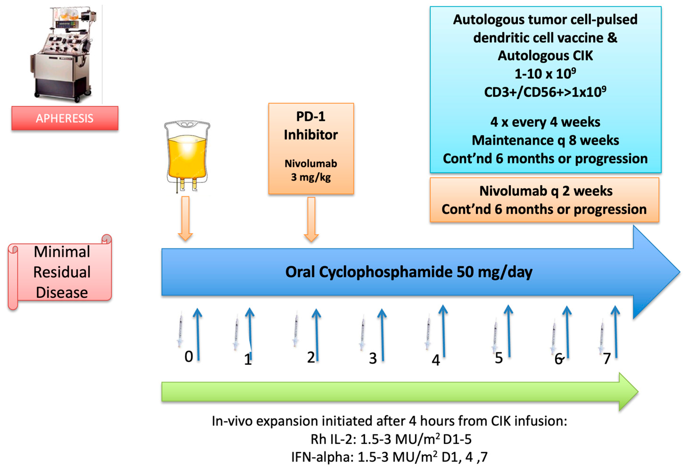 Preprints 84965 g001