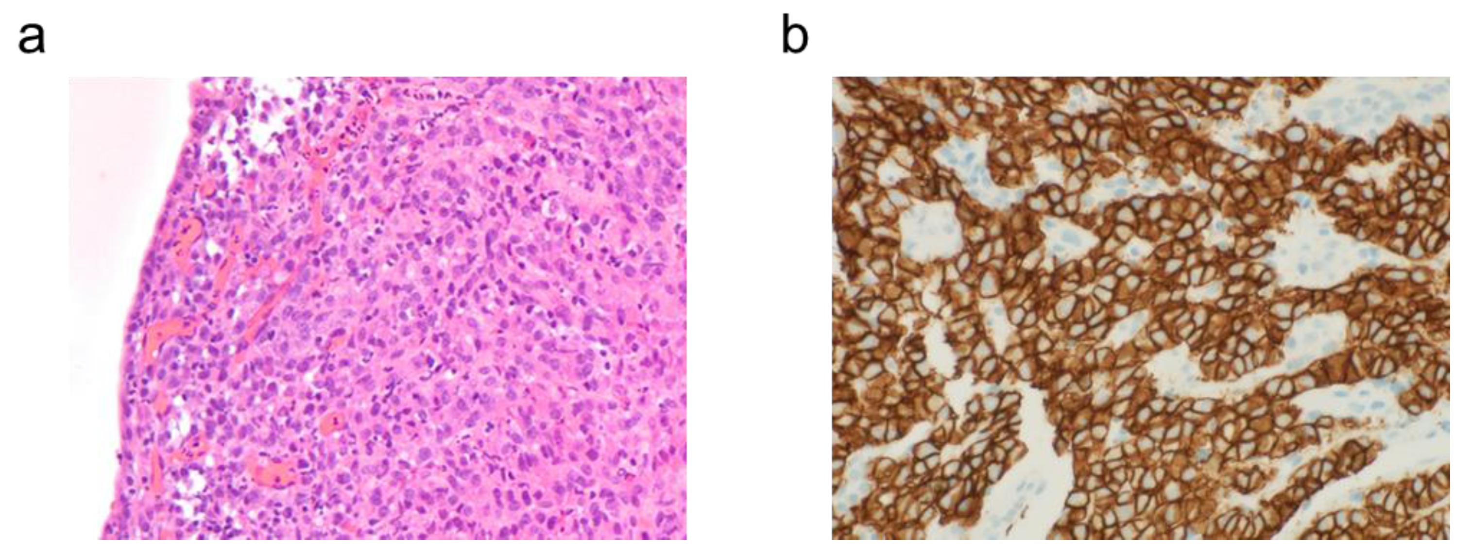 Preprints 178578 g002