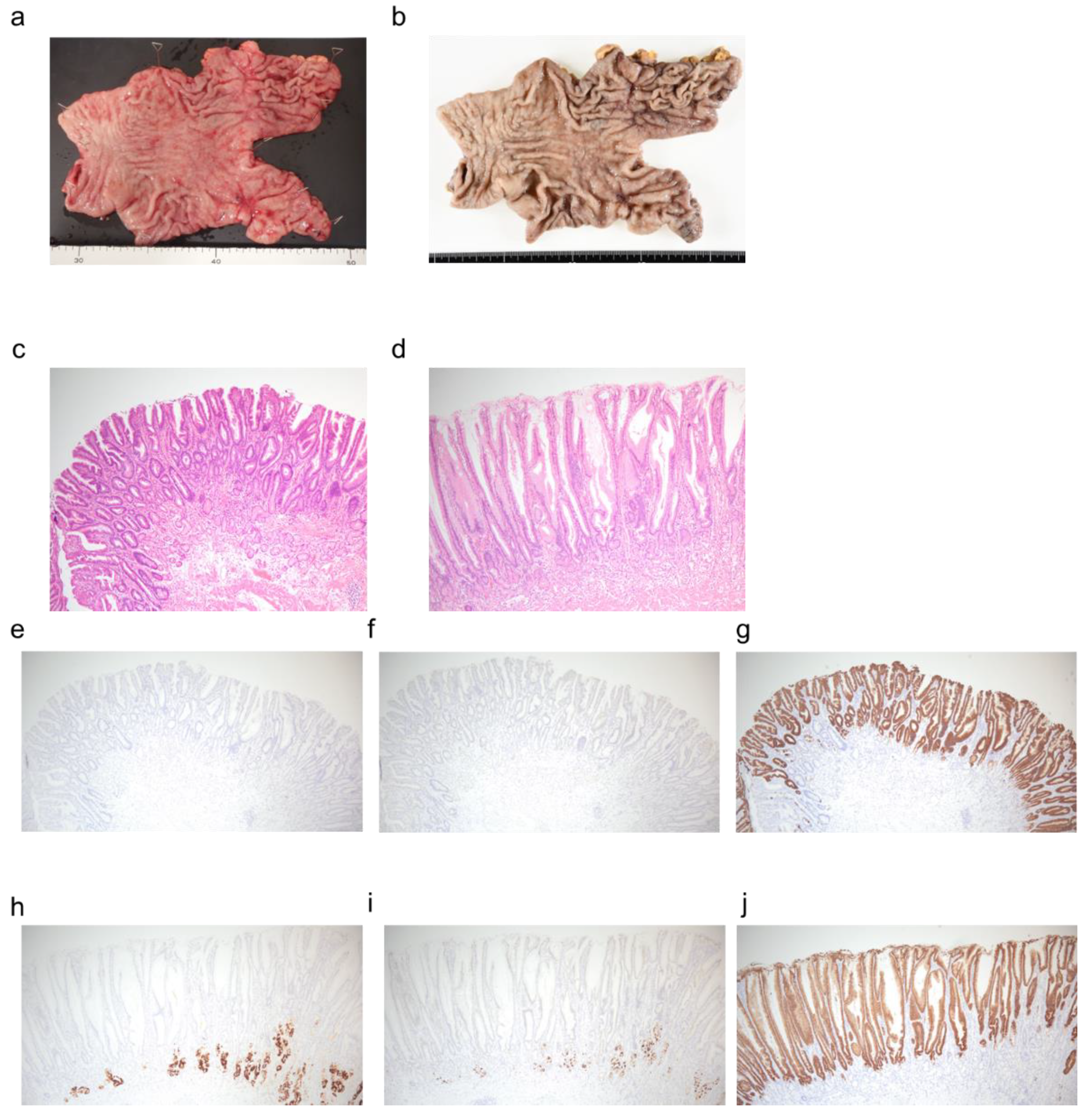 Preprints 178578 g003
