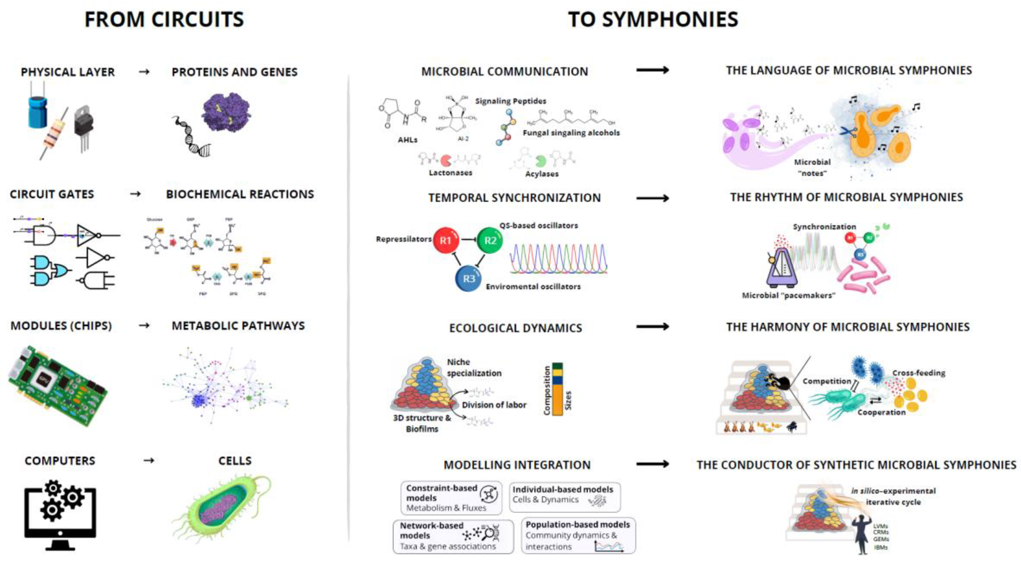 Preprints 176888 g002