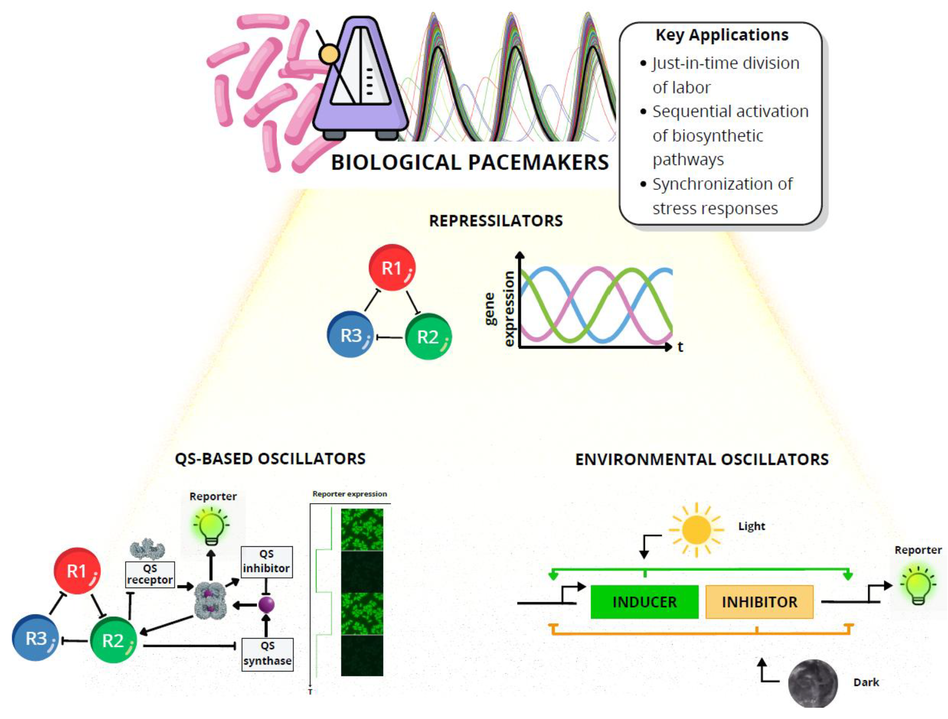 Preprints 176888 g004