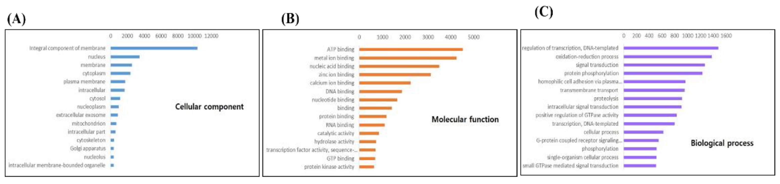 Preprints 143163 g002