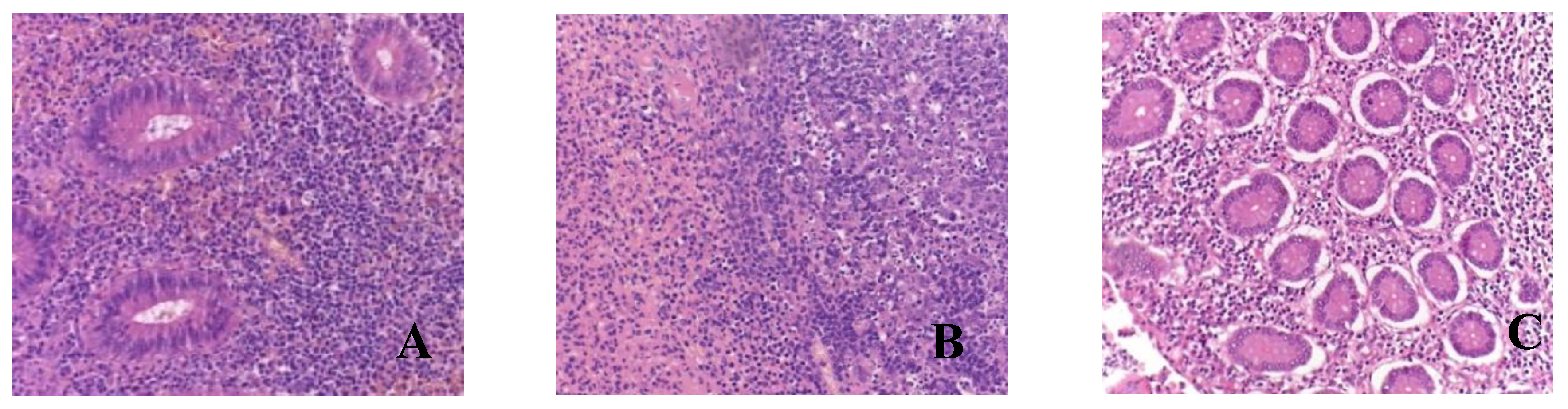 Preprints 95818 g001