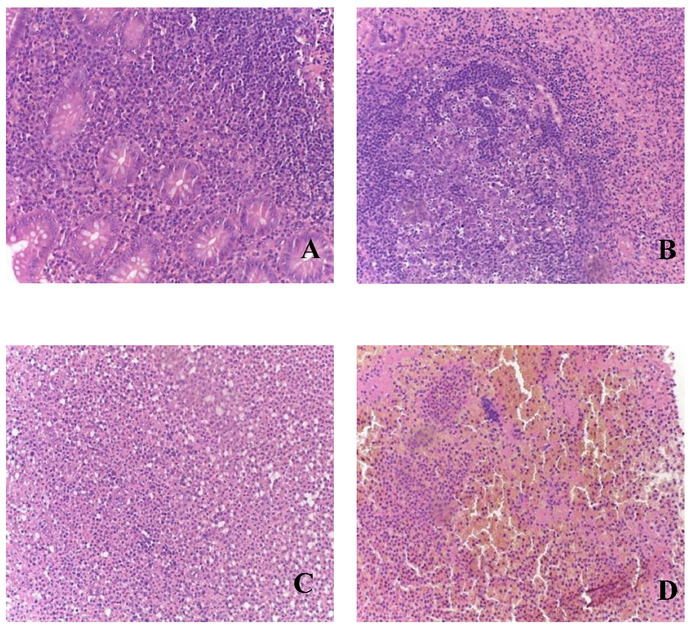 Preprints 95818 g002