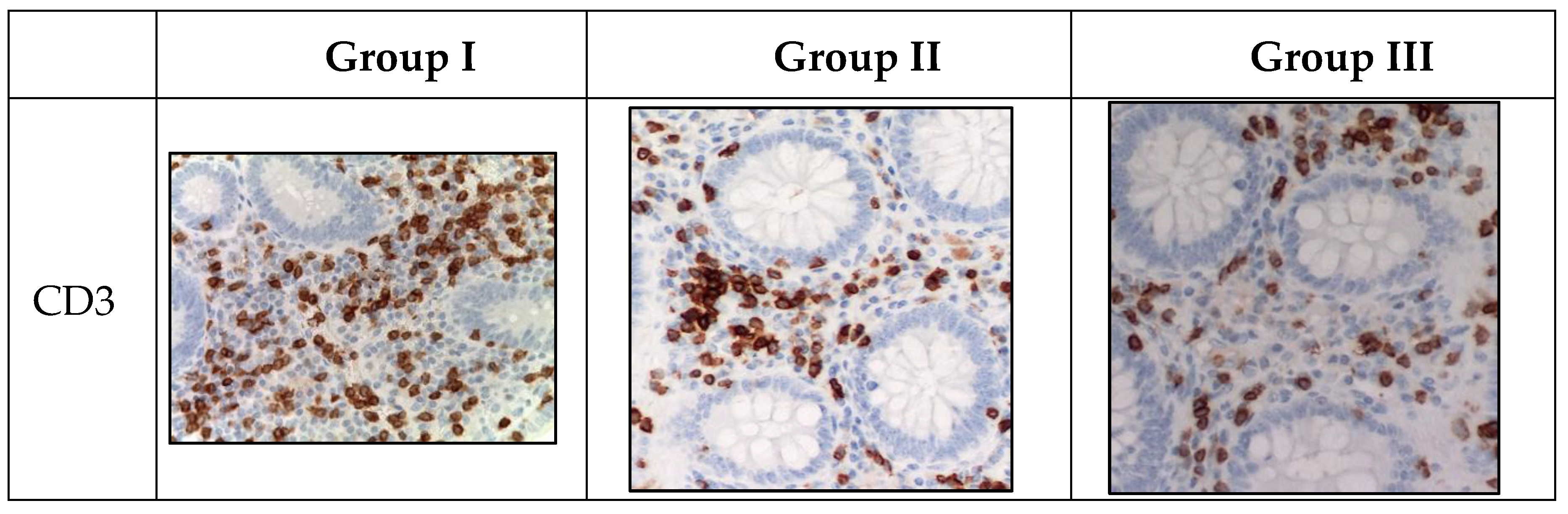 Preprints 95818 g003a