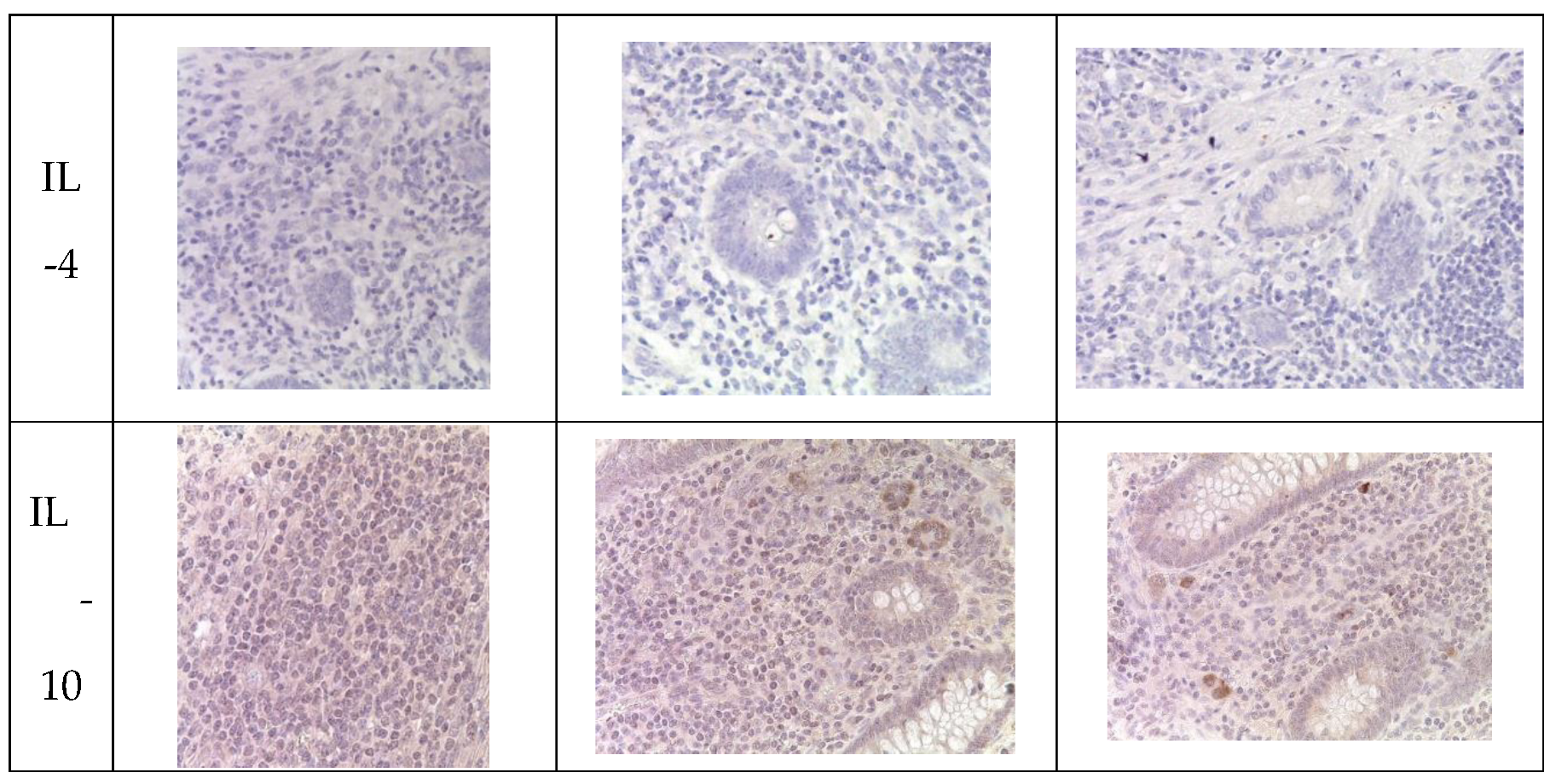 Preprints 95818 g004b