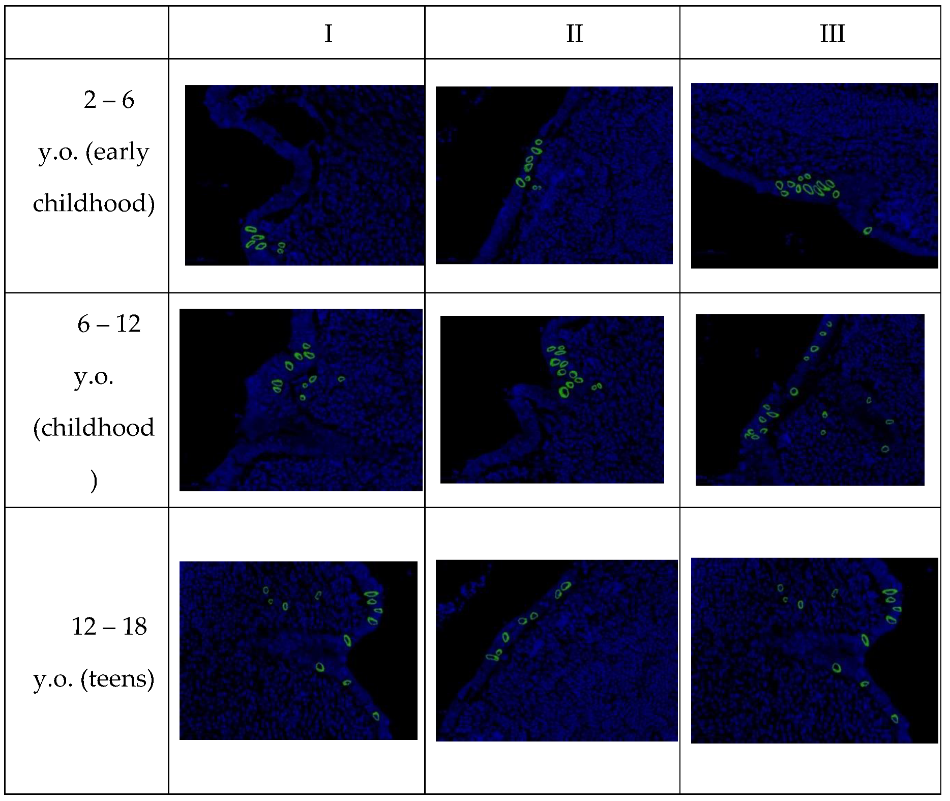 Preprints 95818 g005