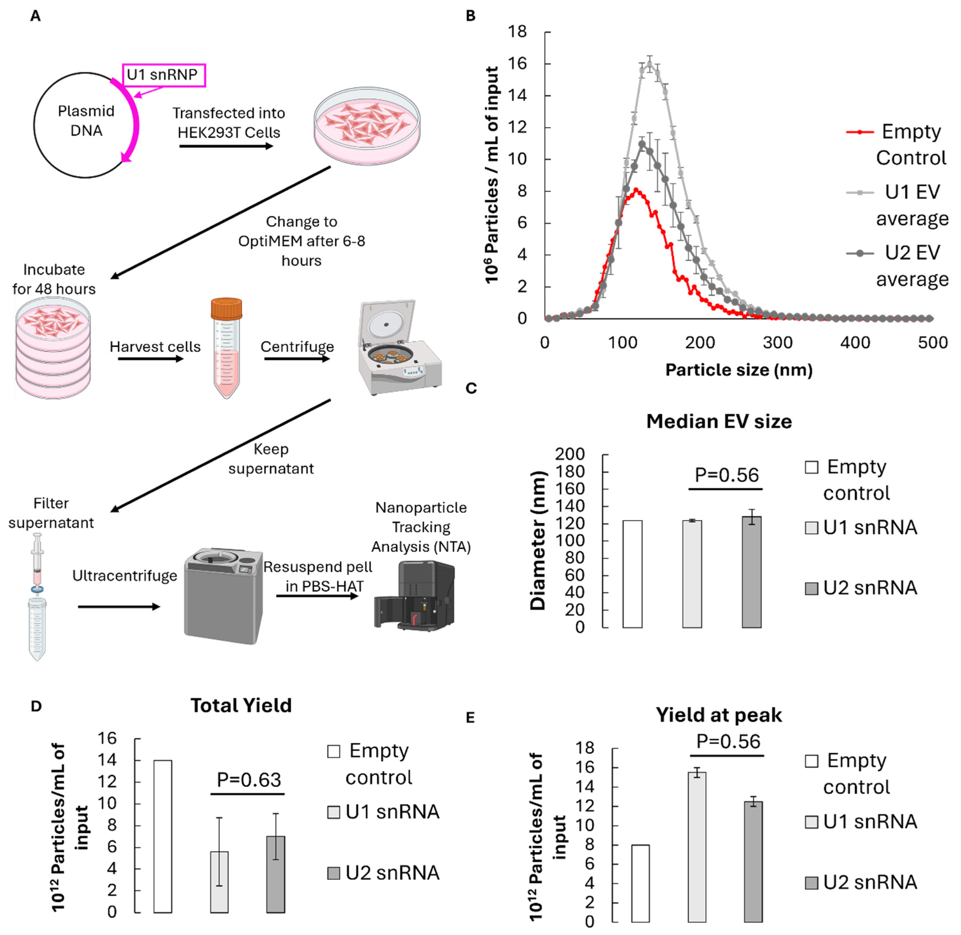 Preprints 192871 g001
