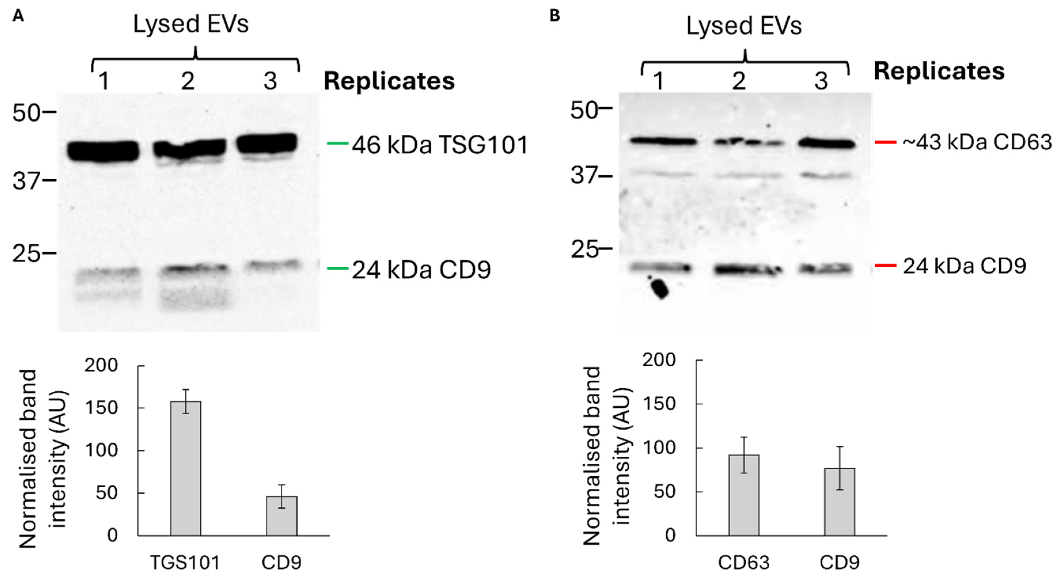 Preprints 192871 g002