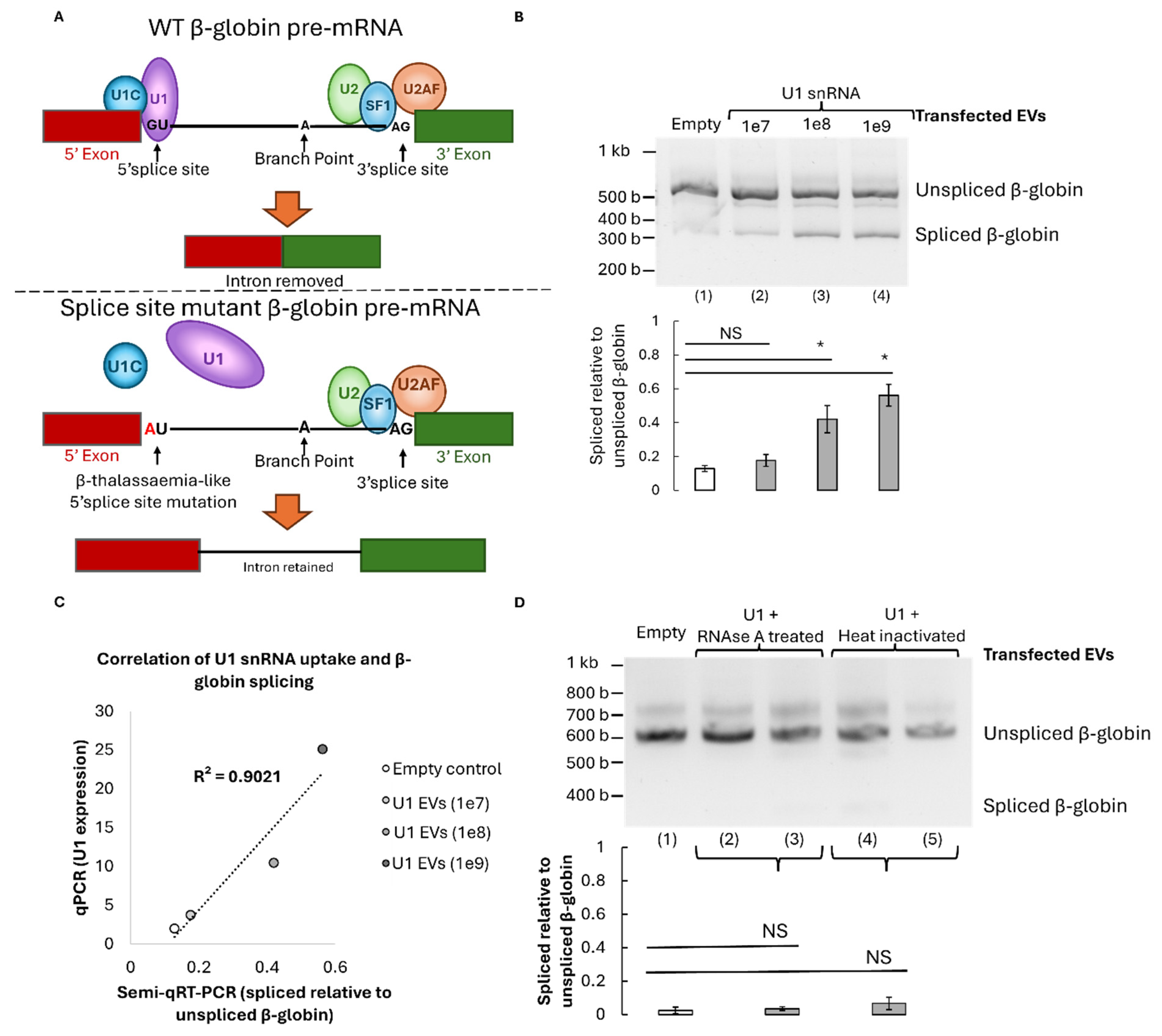 Preprints 192871 g004