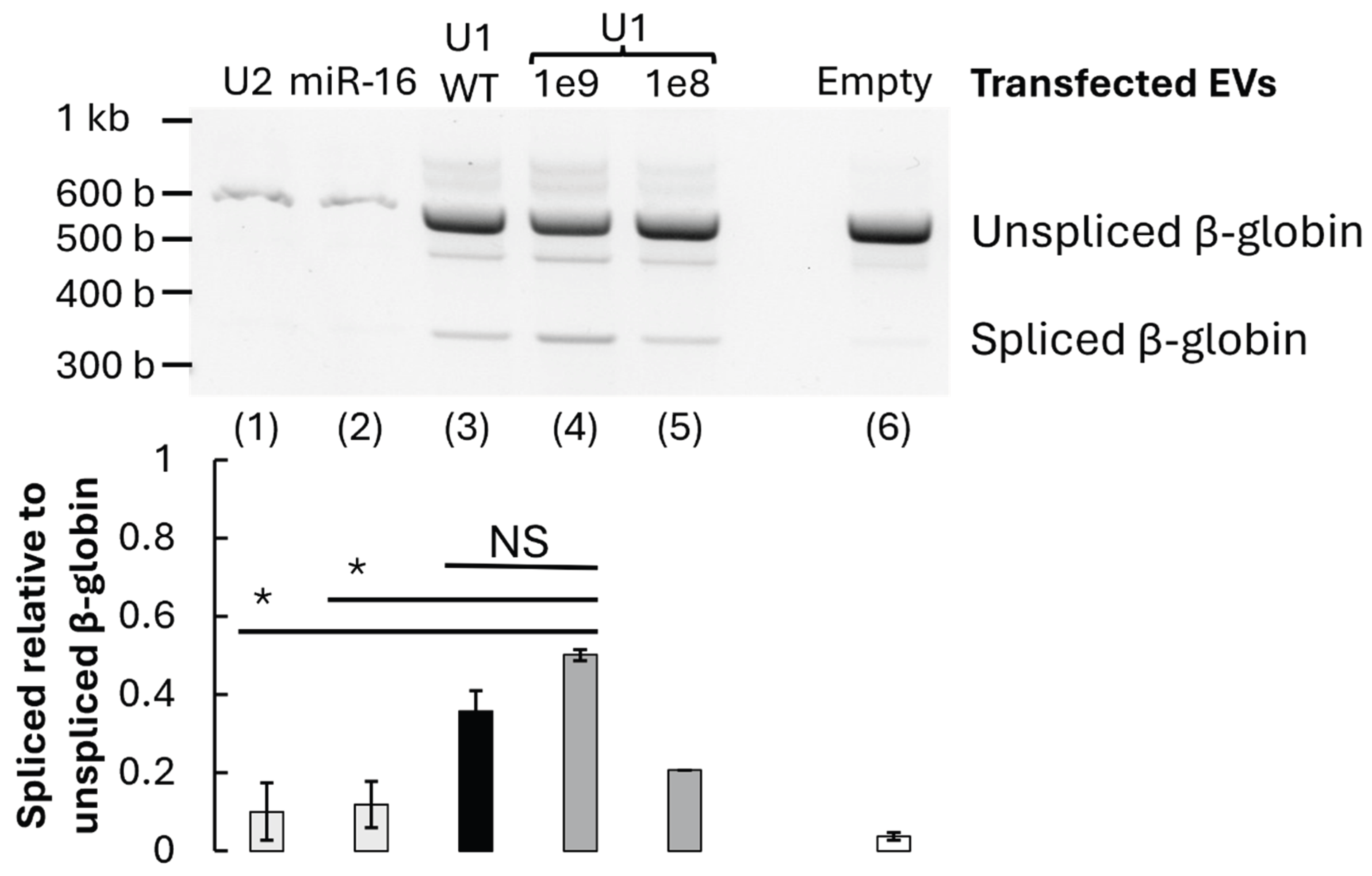 Preprints 192871 g005