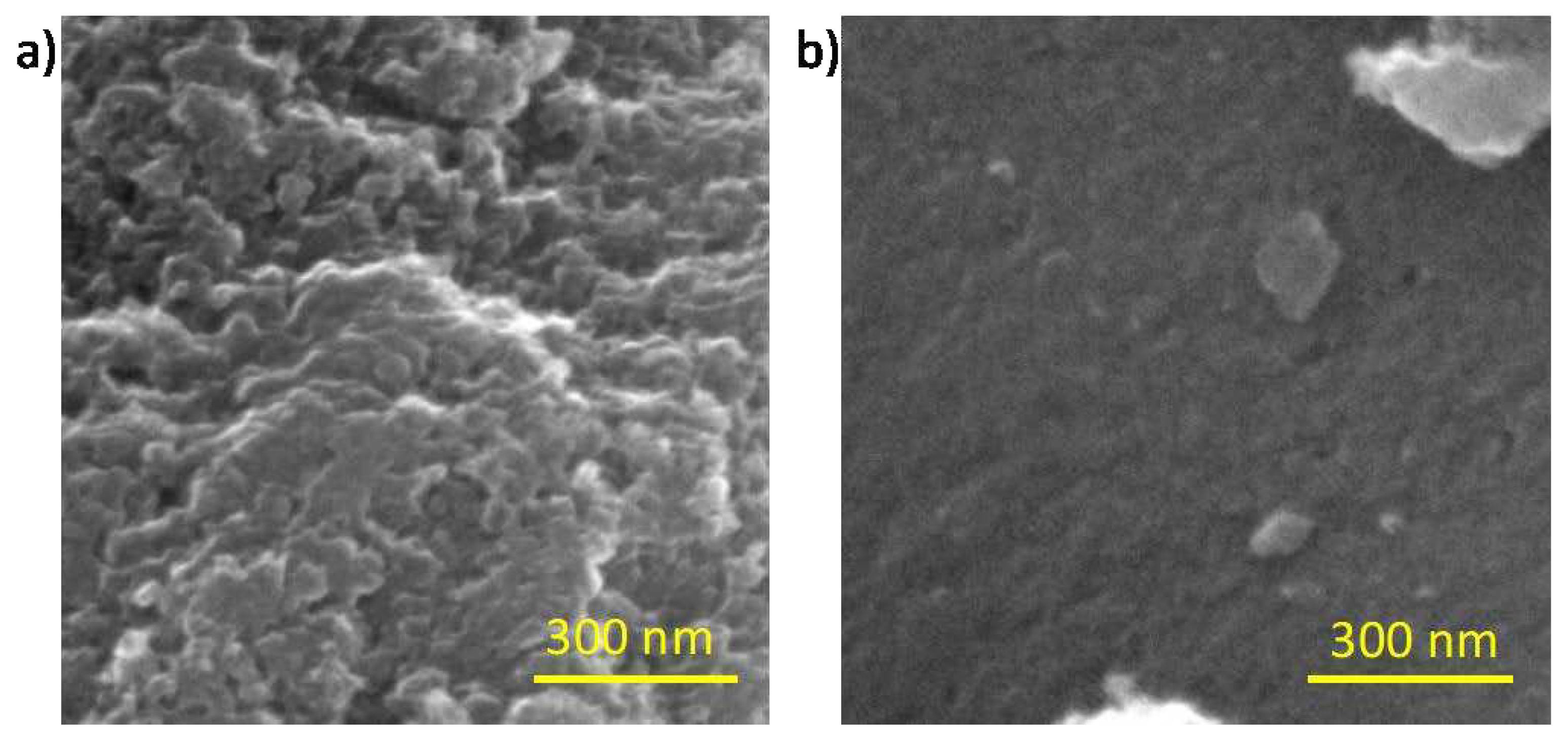 Preprints 91175 g002