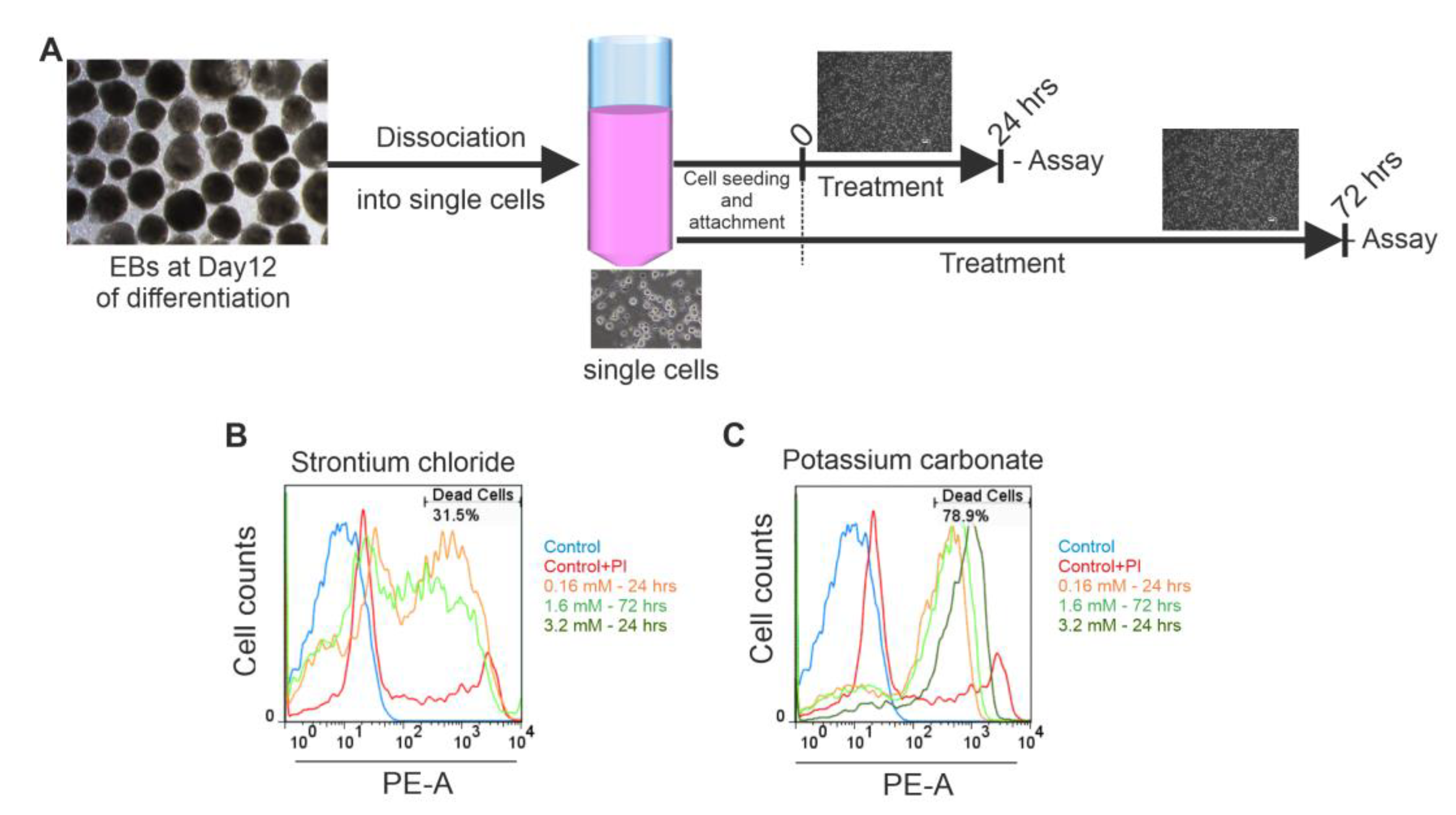 Preprints 193194 g003