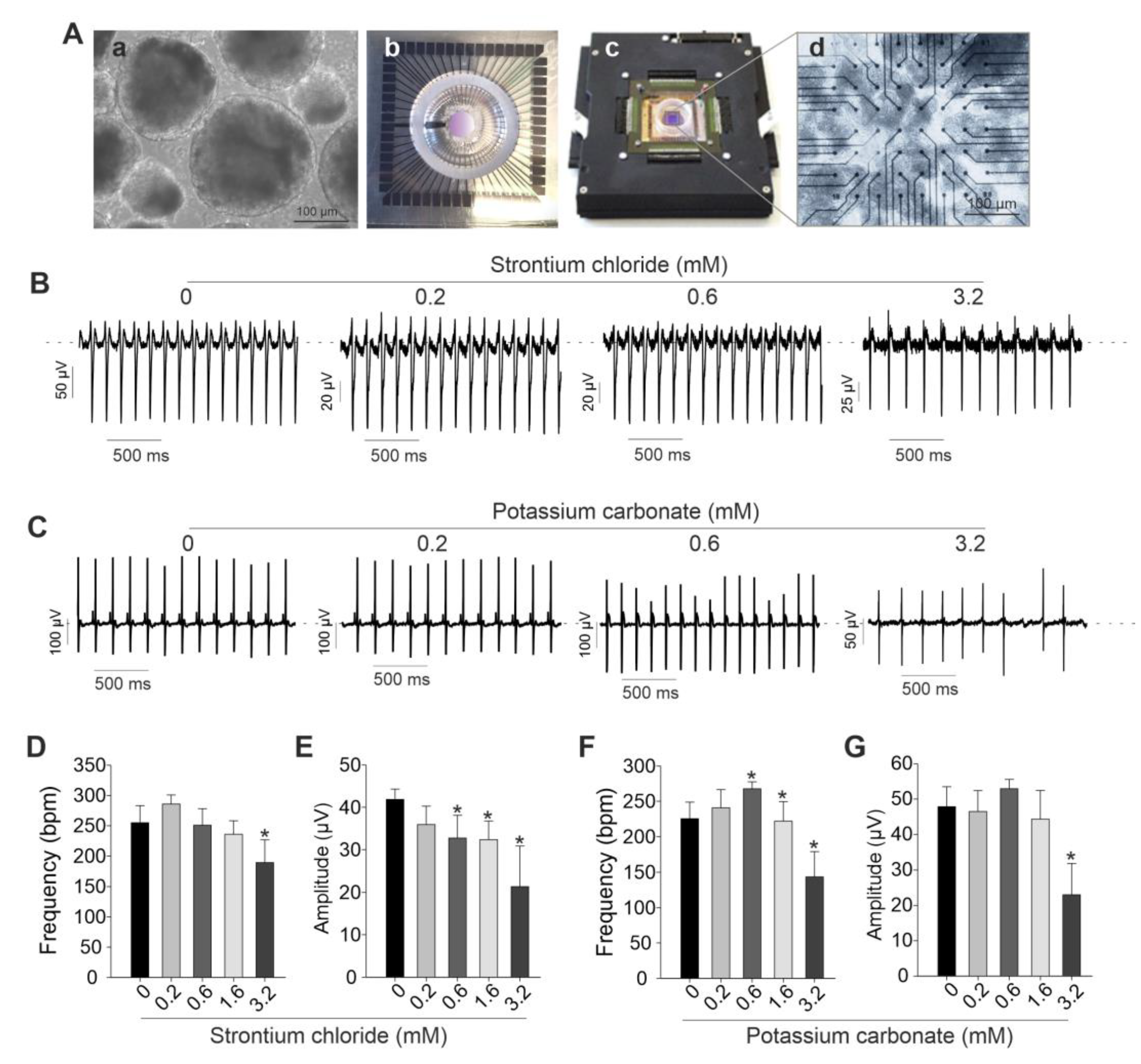 Preprints 193194 g004