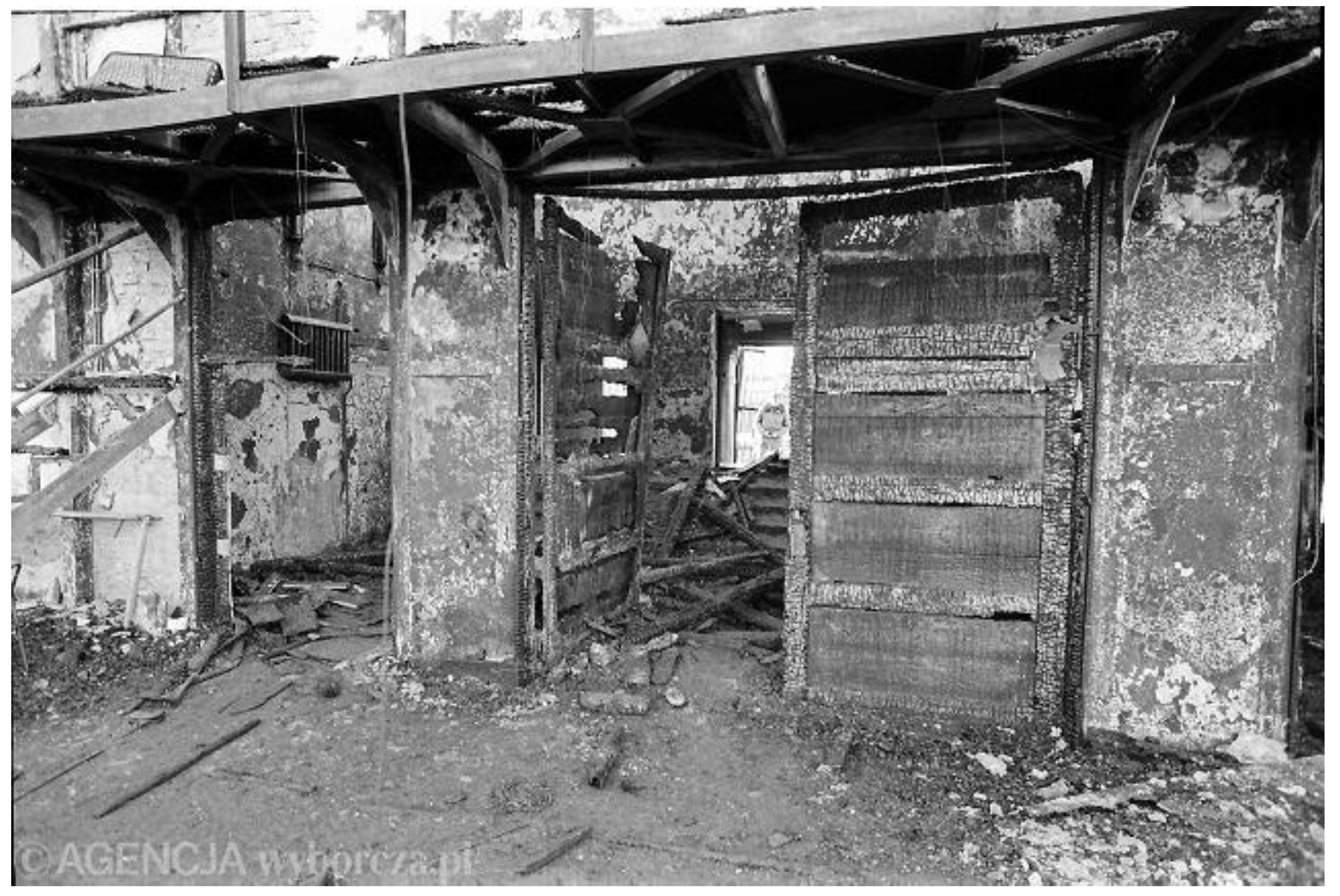 Preprints 197832 g009