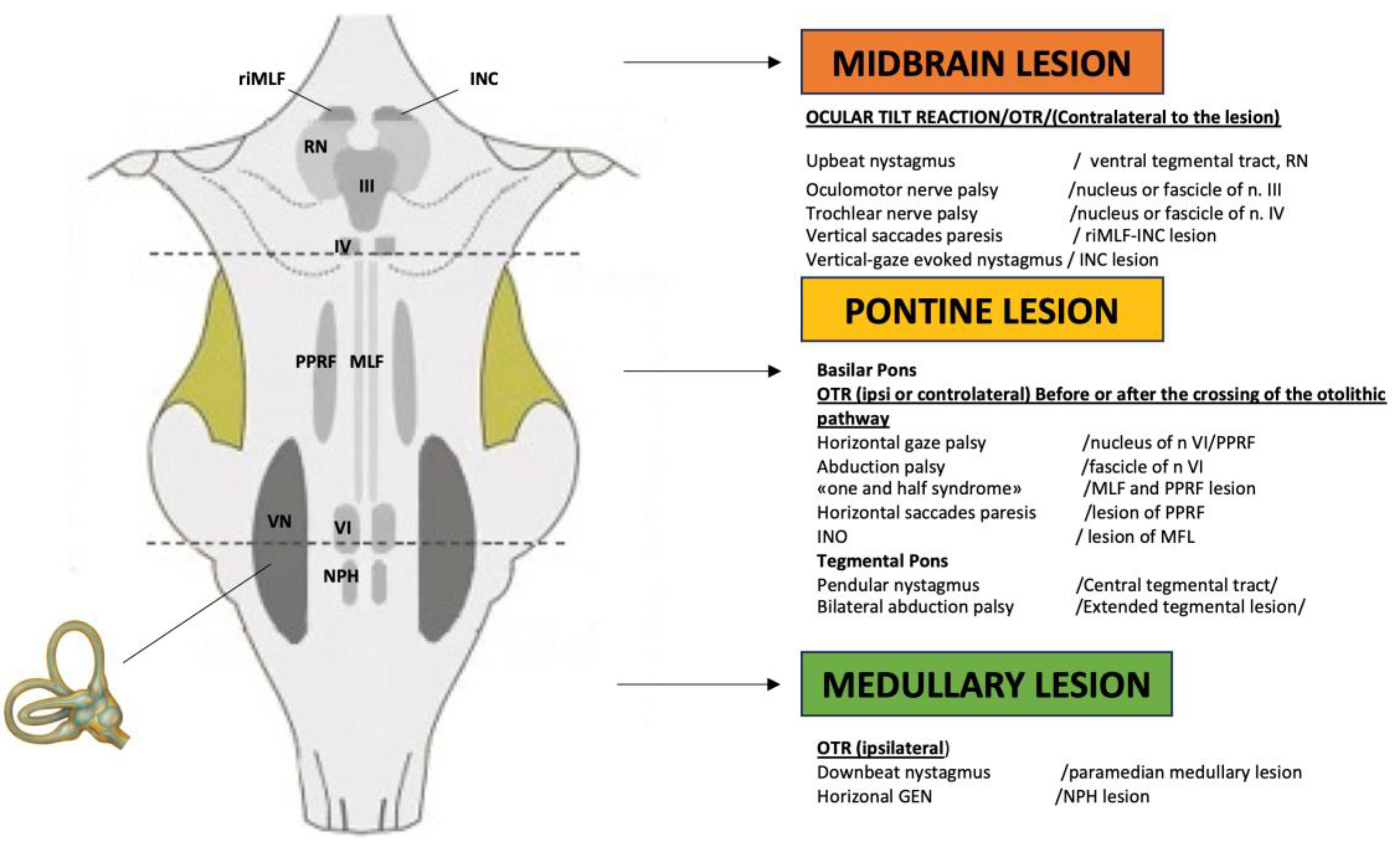 Preprints 173760 g001