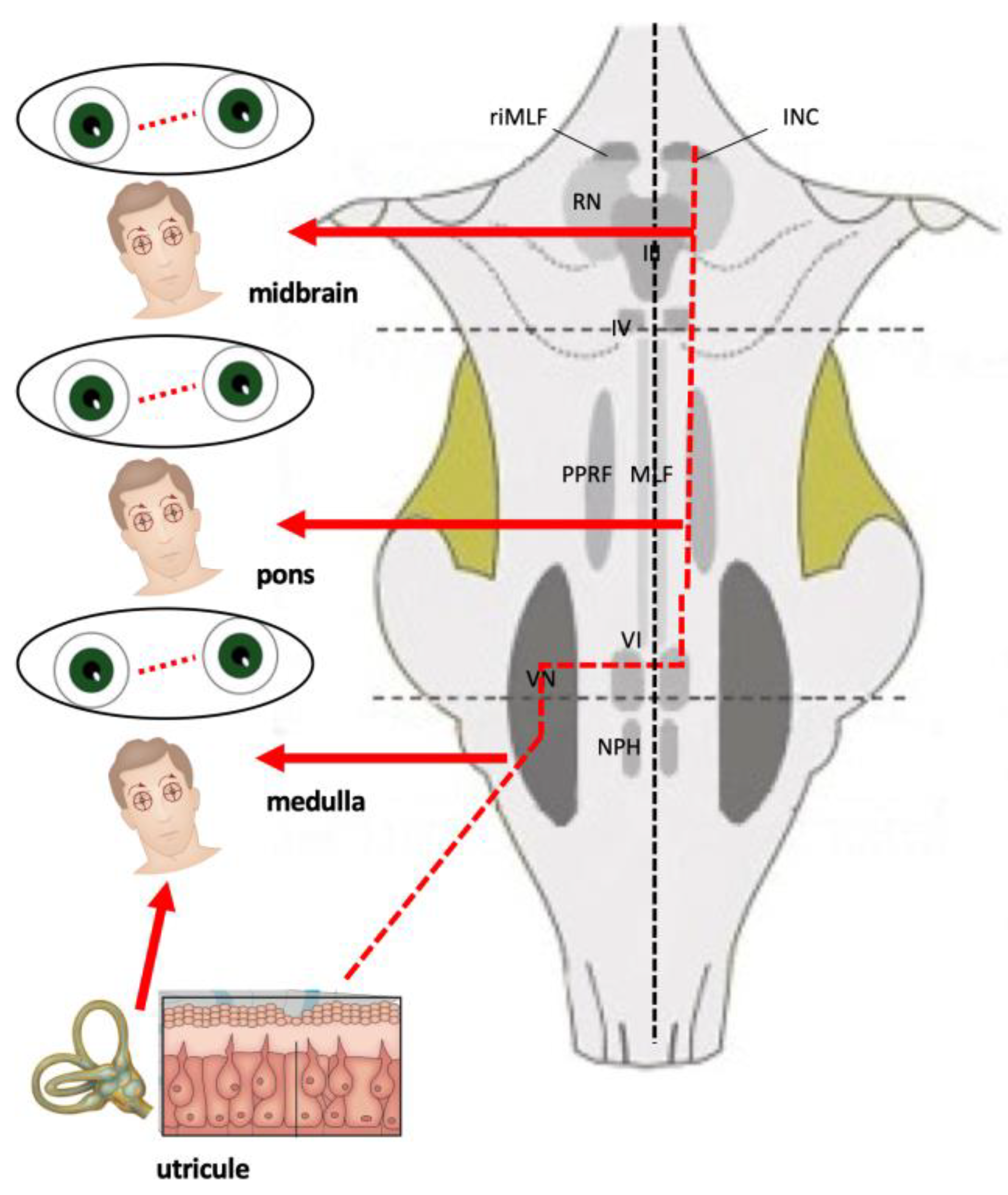 Preprints 173760 g006