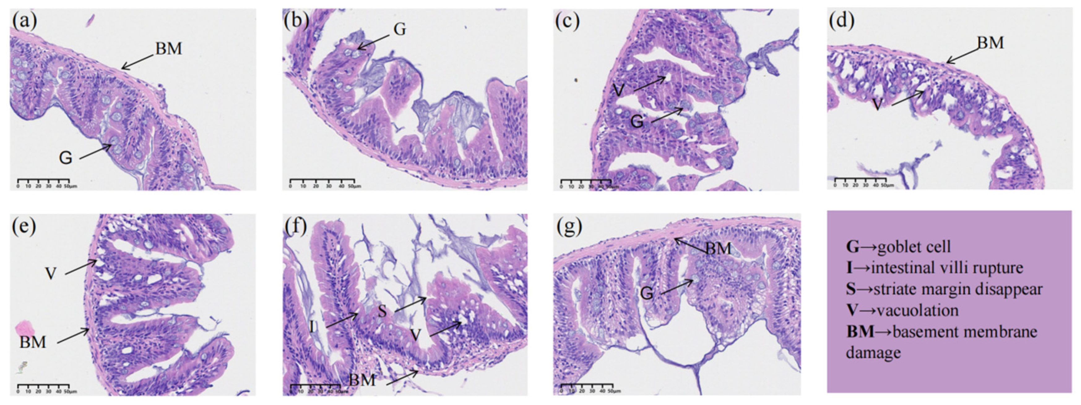 Preprints 87920 g004