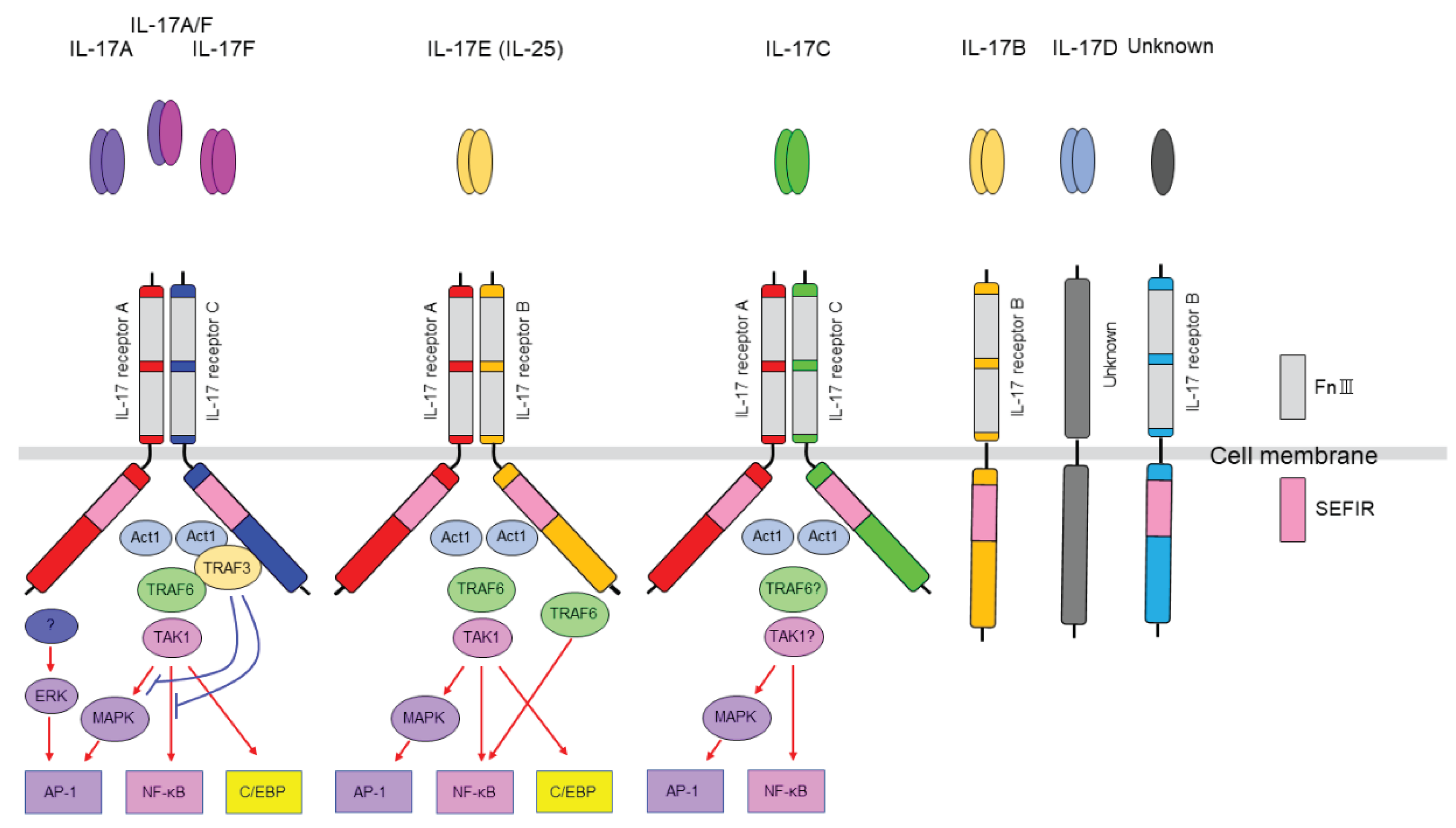 Preprints 173599 g001