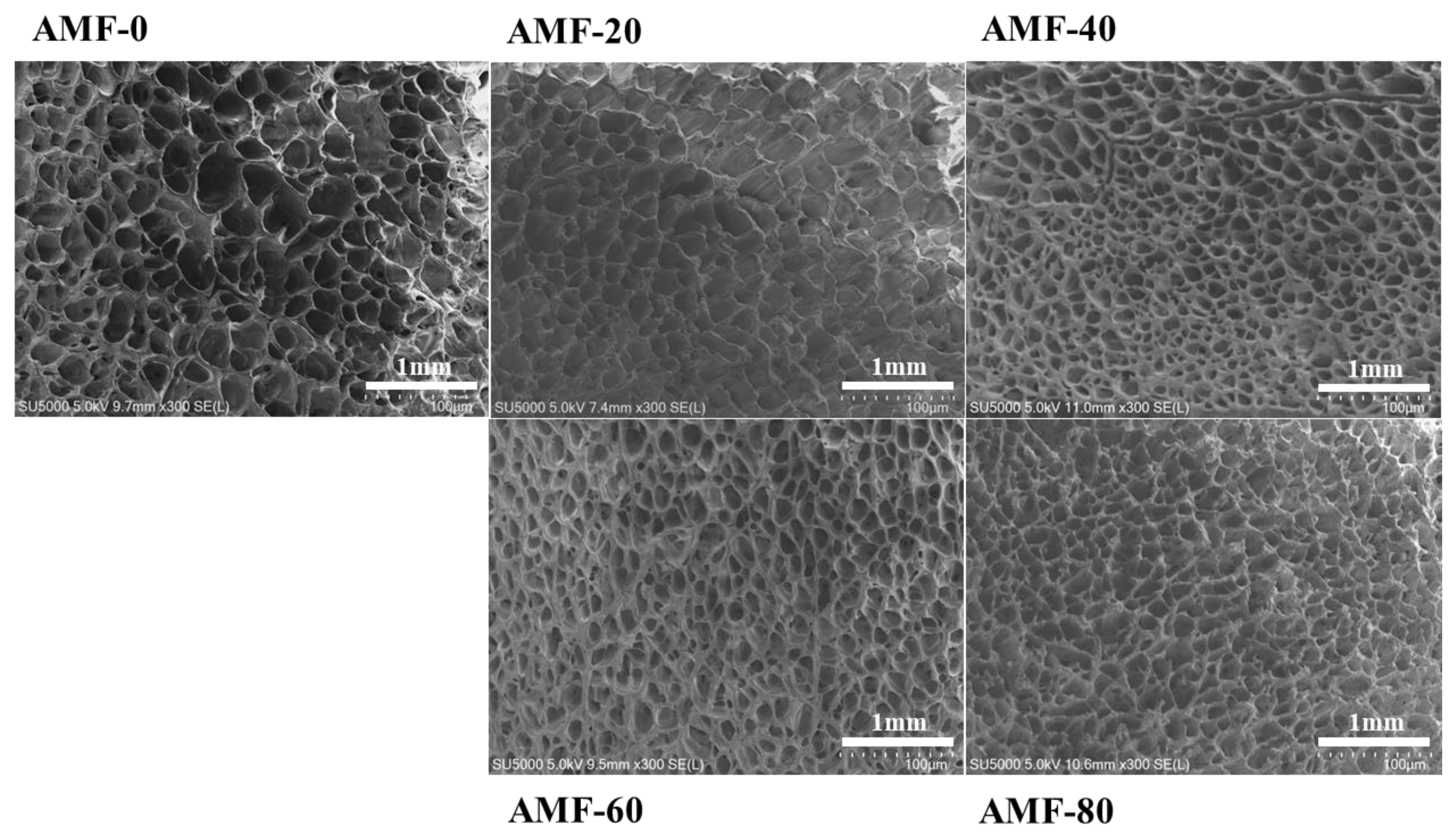 Preprints 182616 g006