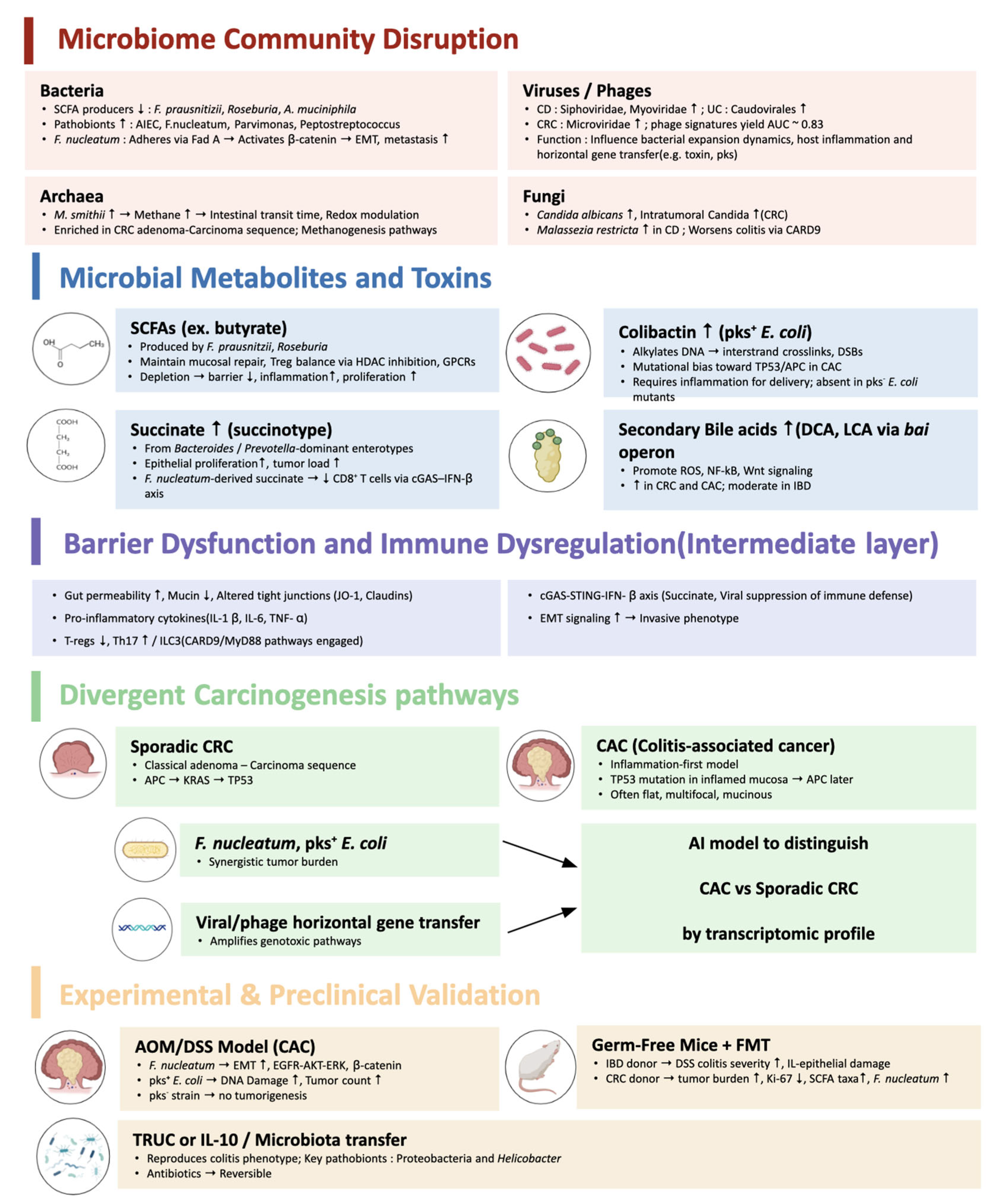 Preprints 175341 g001