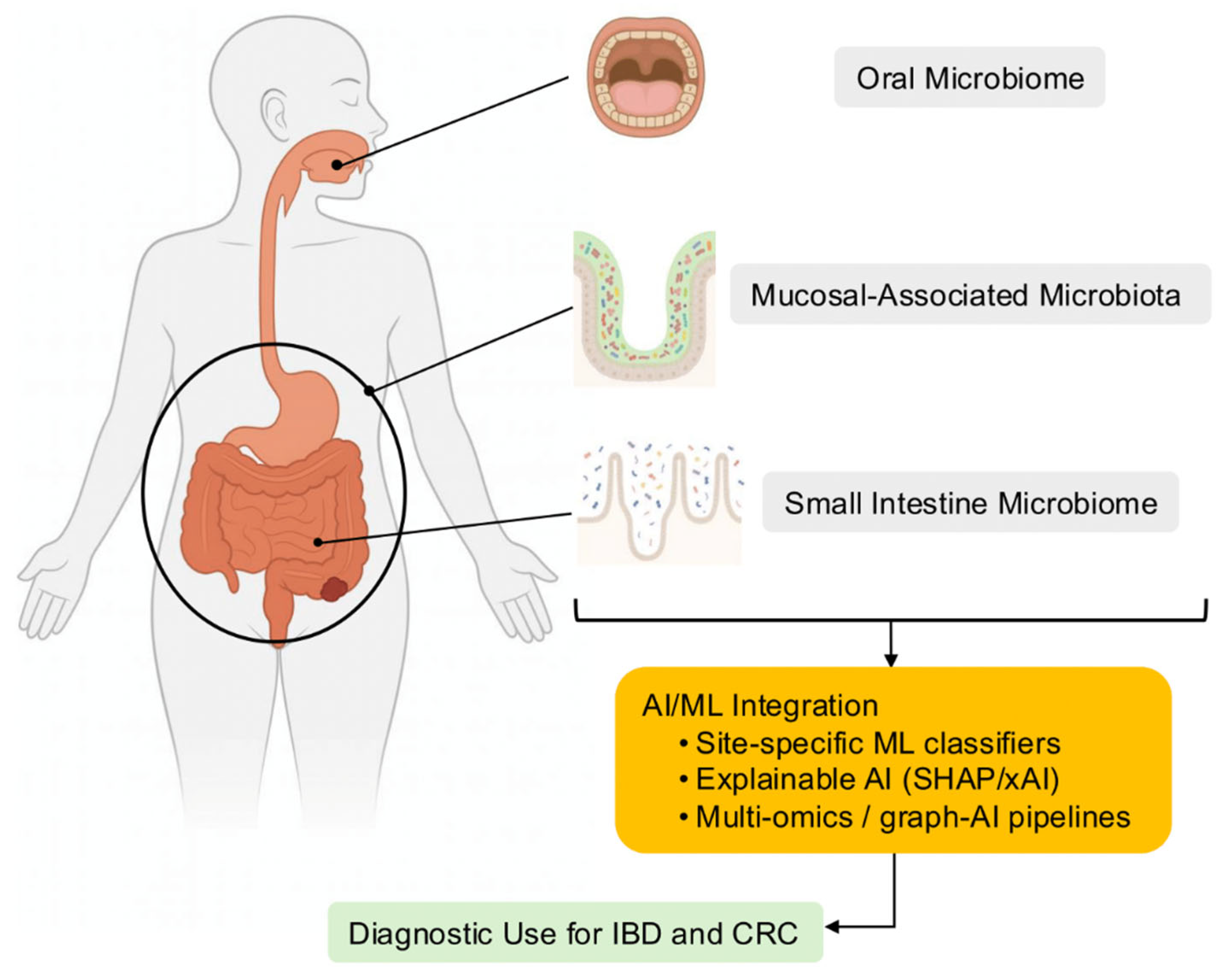 Preprints 175341 g002