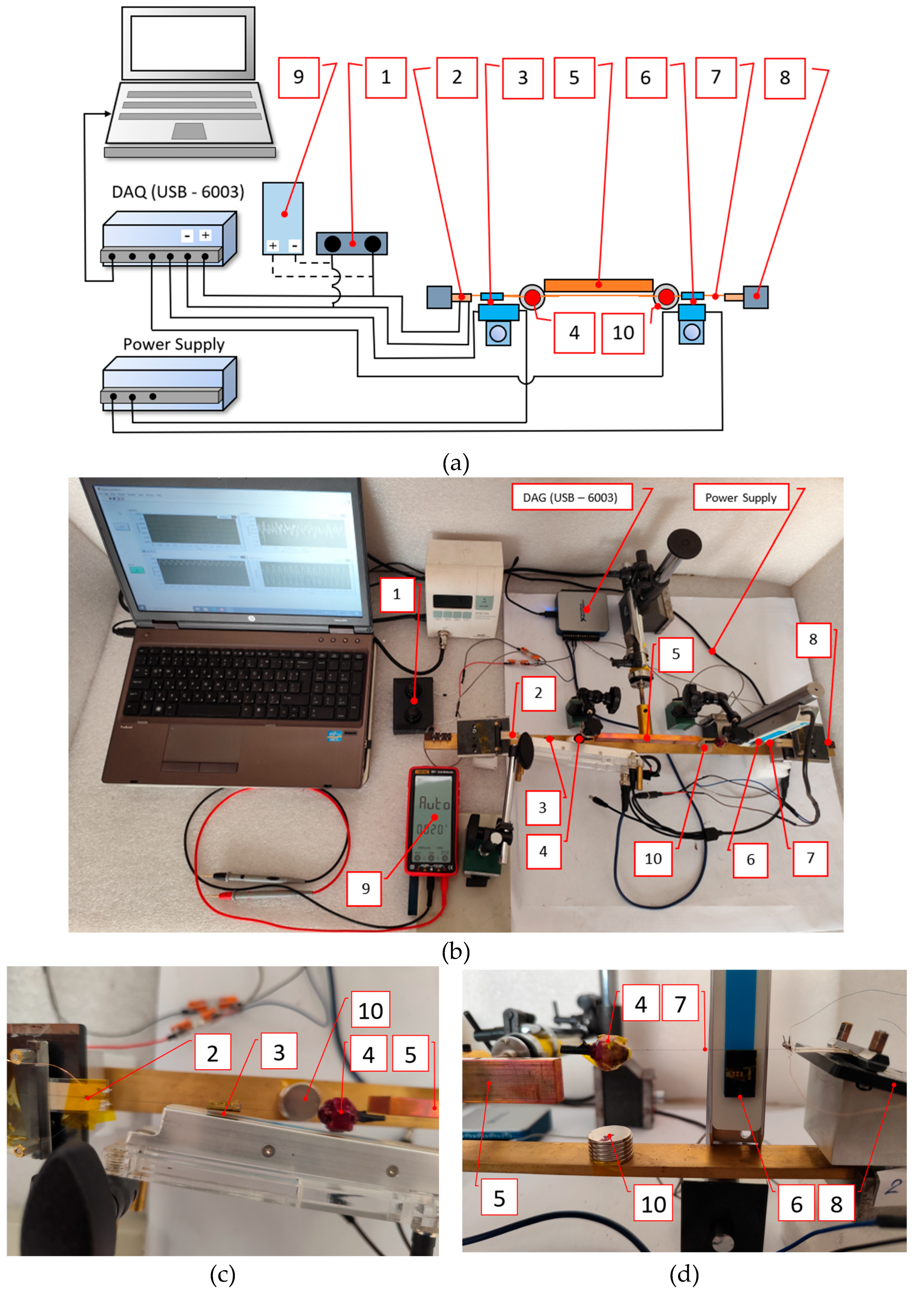 Preprints 161323 g005