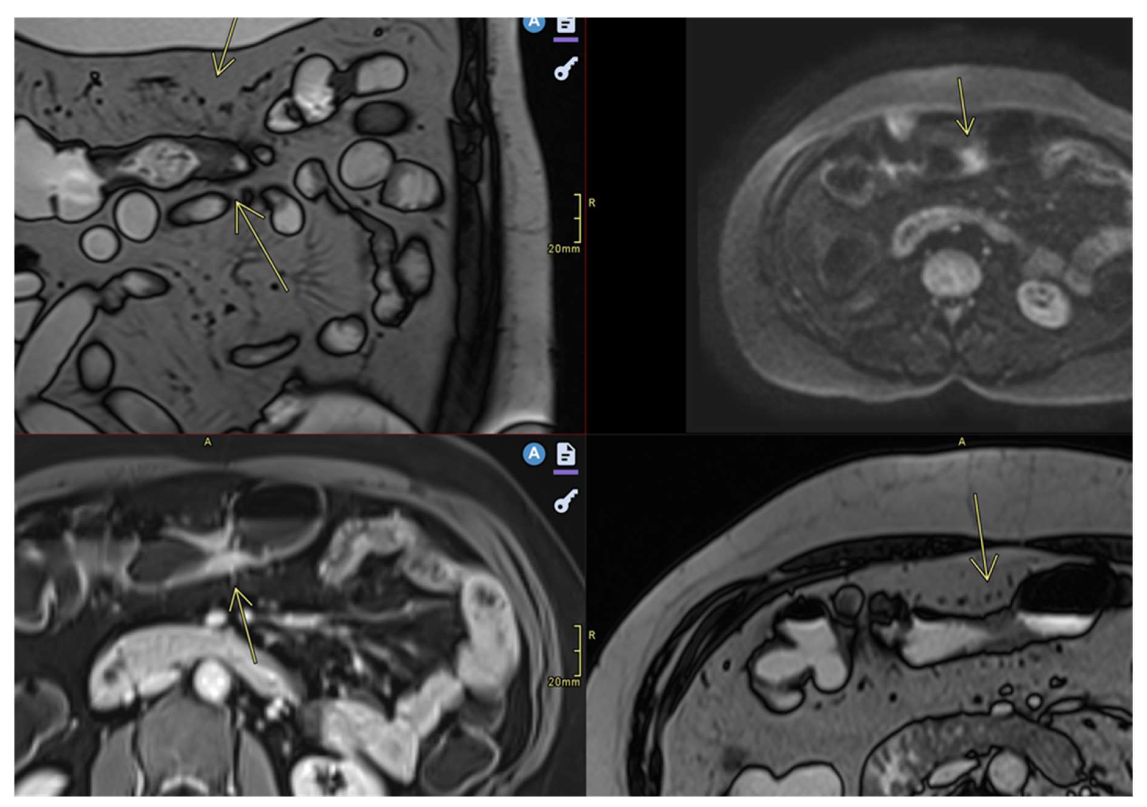 Preprints 157580 g002