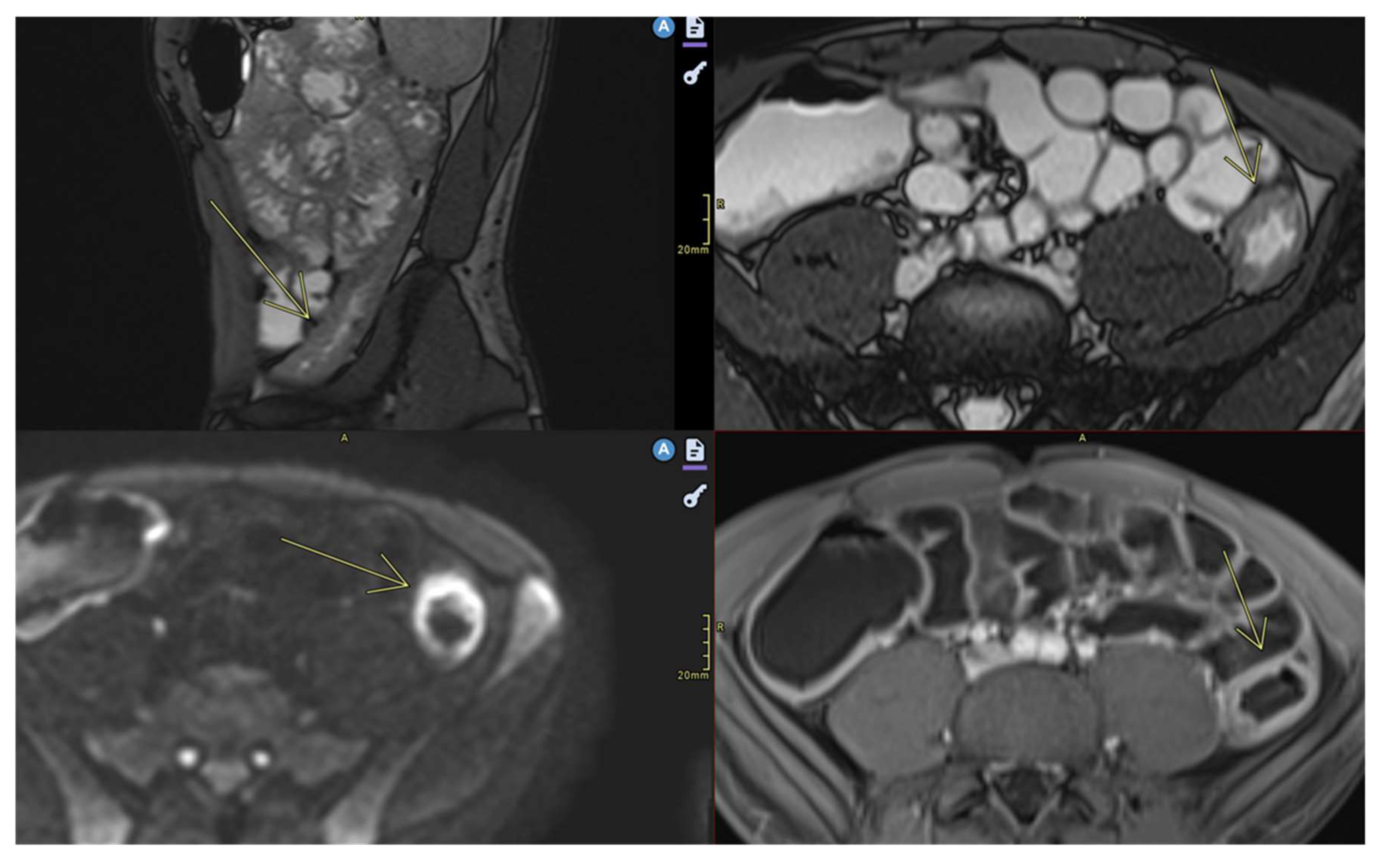 Preprints 157580 g003