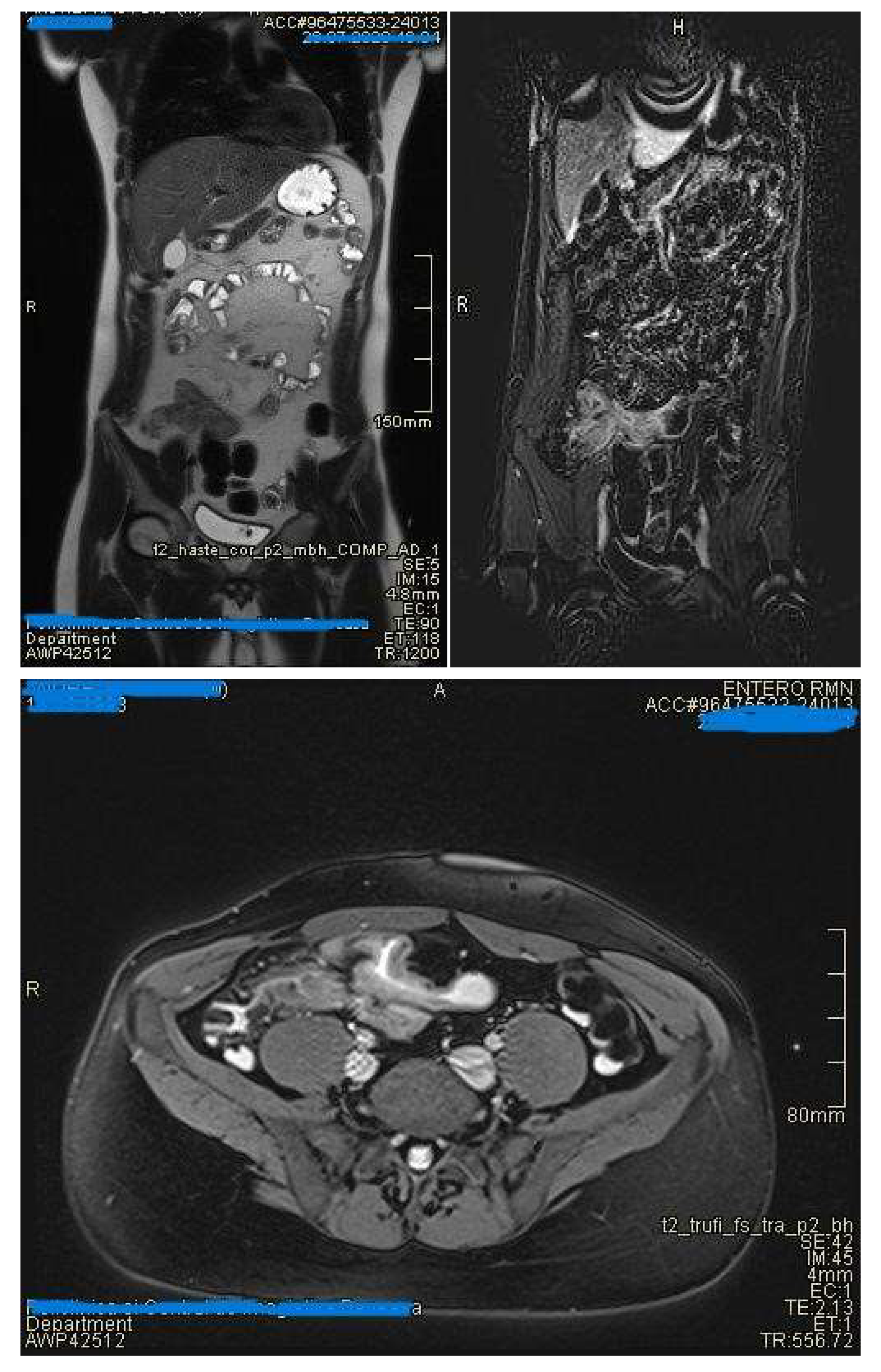 Preprints 157580 g005