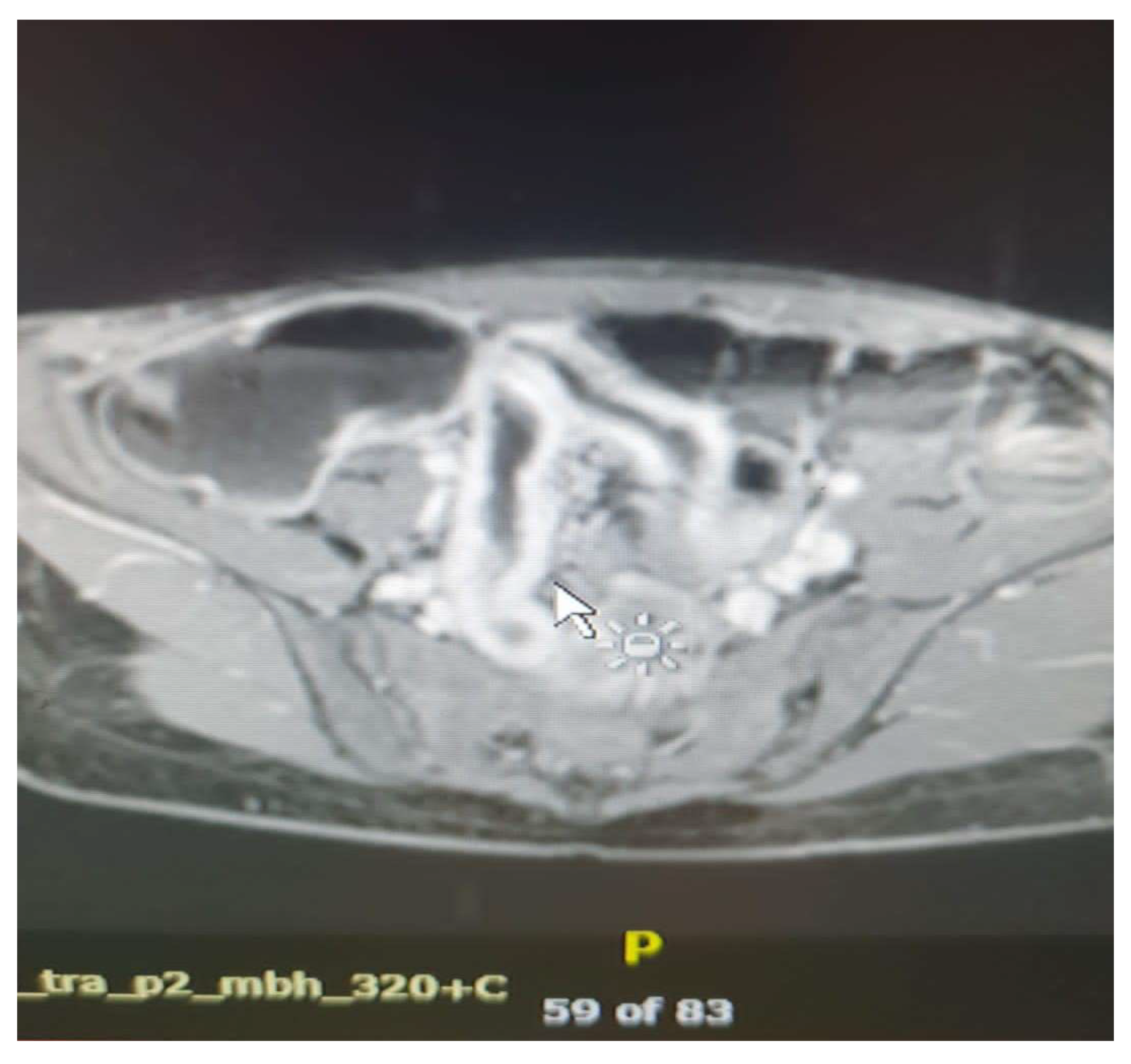 Preprints 157580 g006a