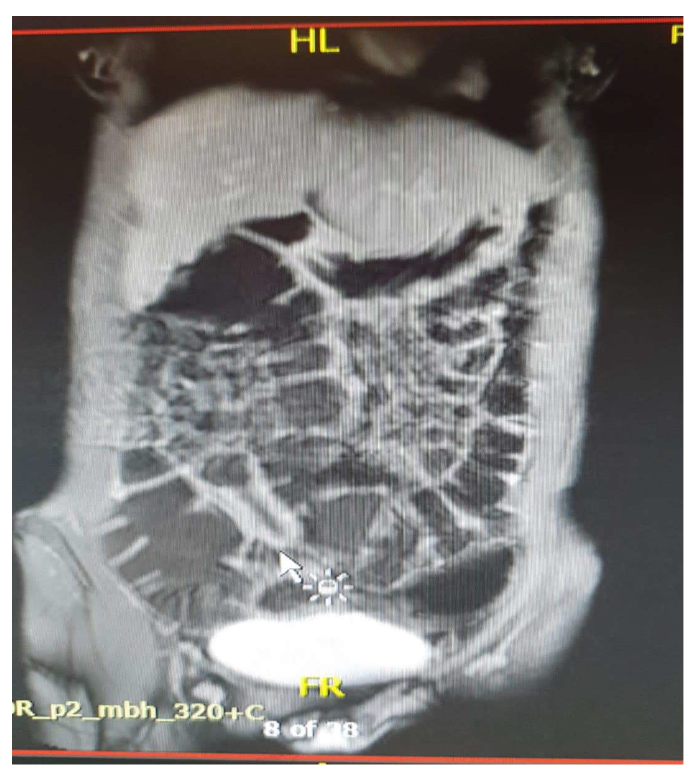 Preprints 157580 g006b