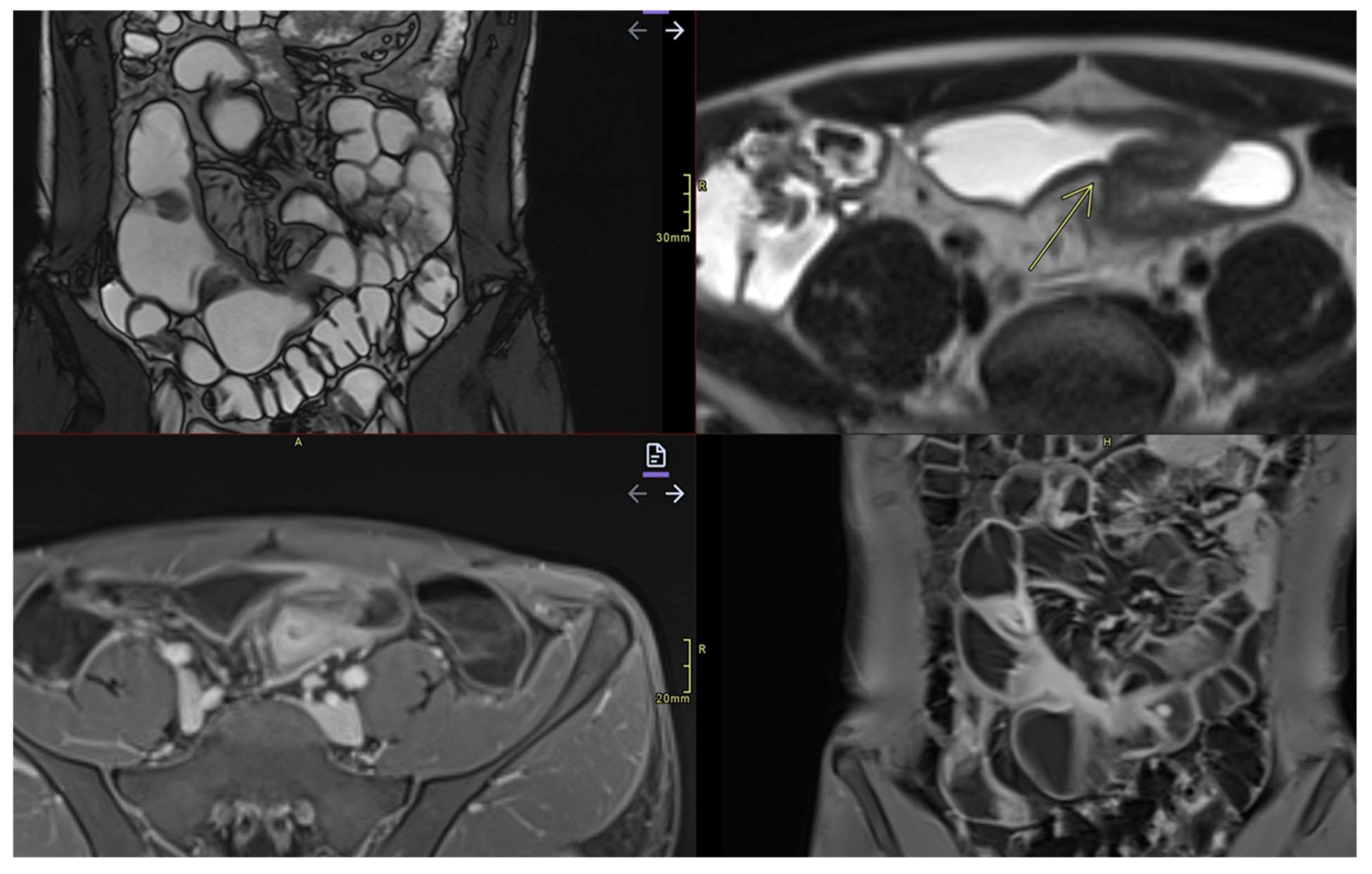 Preprints 157580 g007